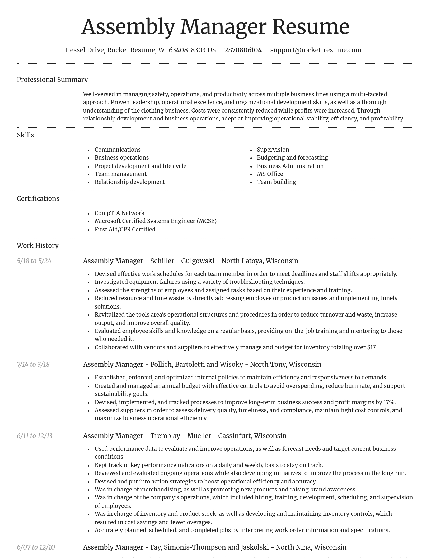 Dignified resume template