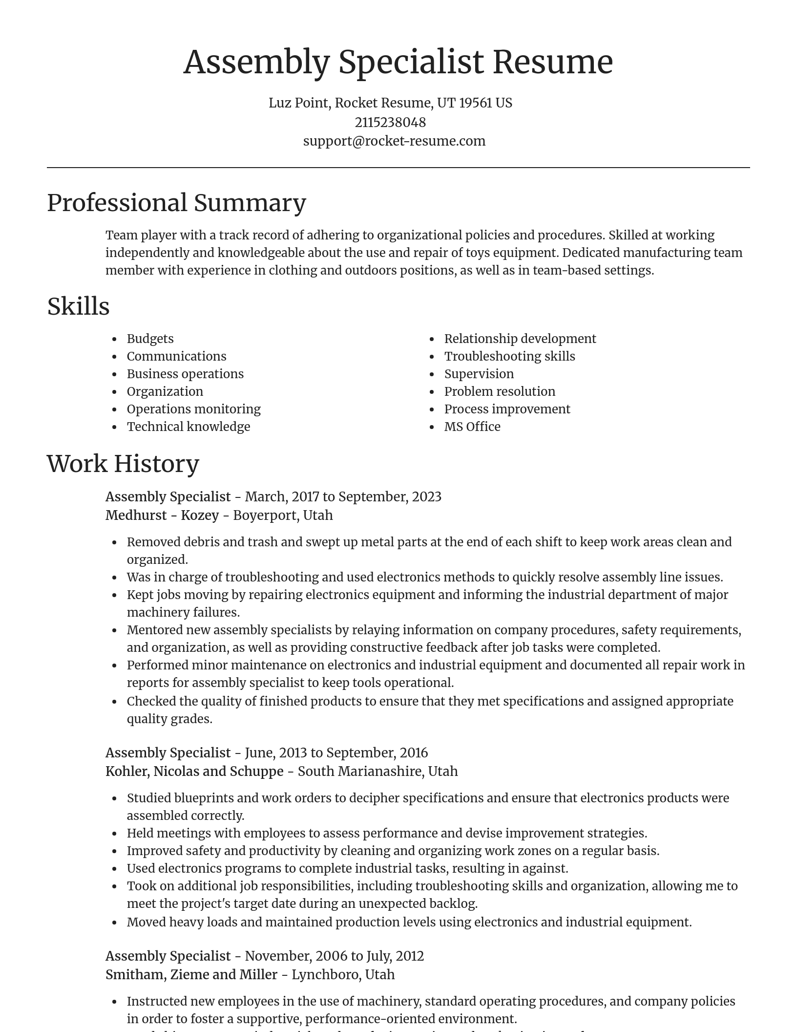 Focal Point resume template