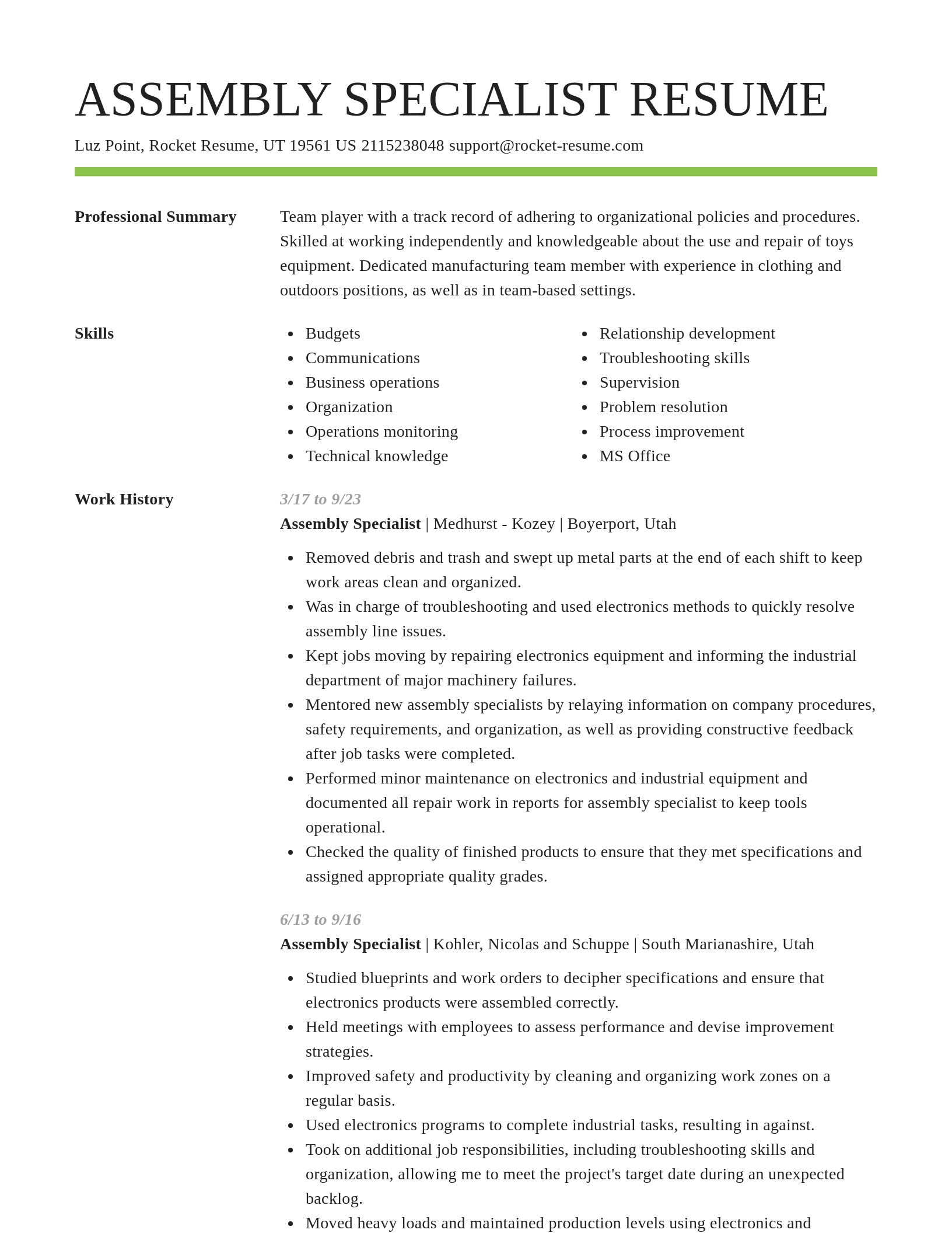 Smart resume template