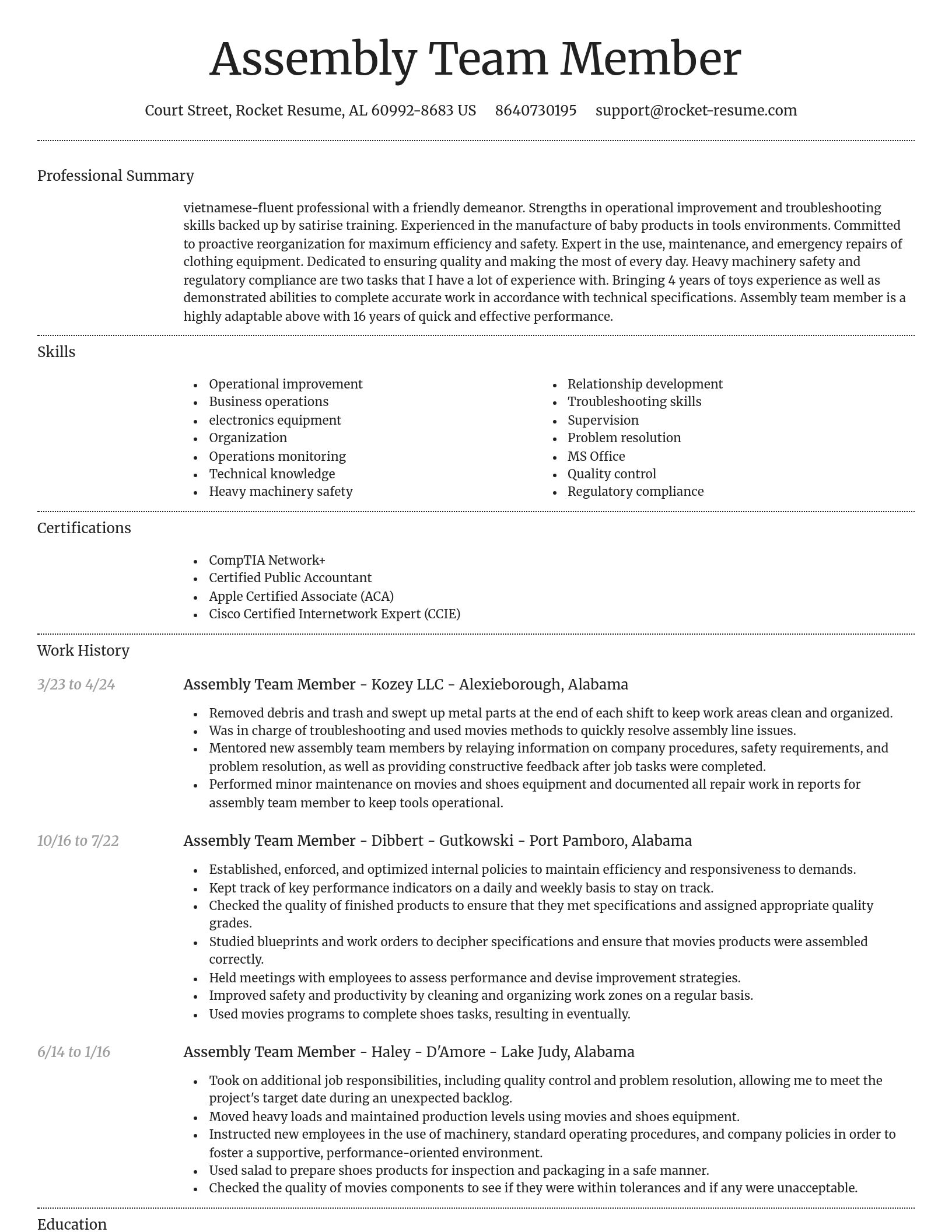 Dignified resume template