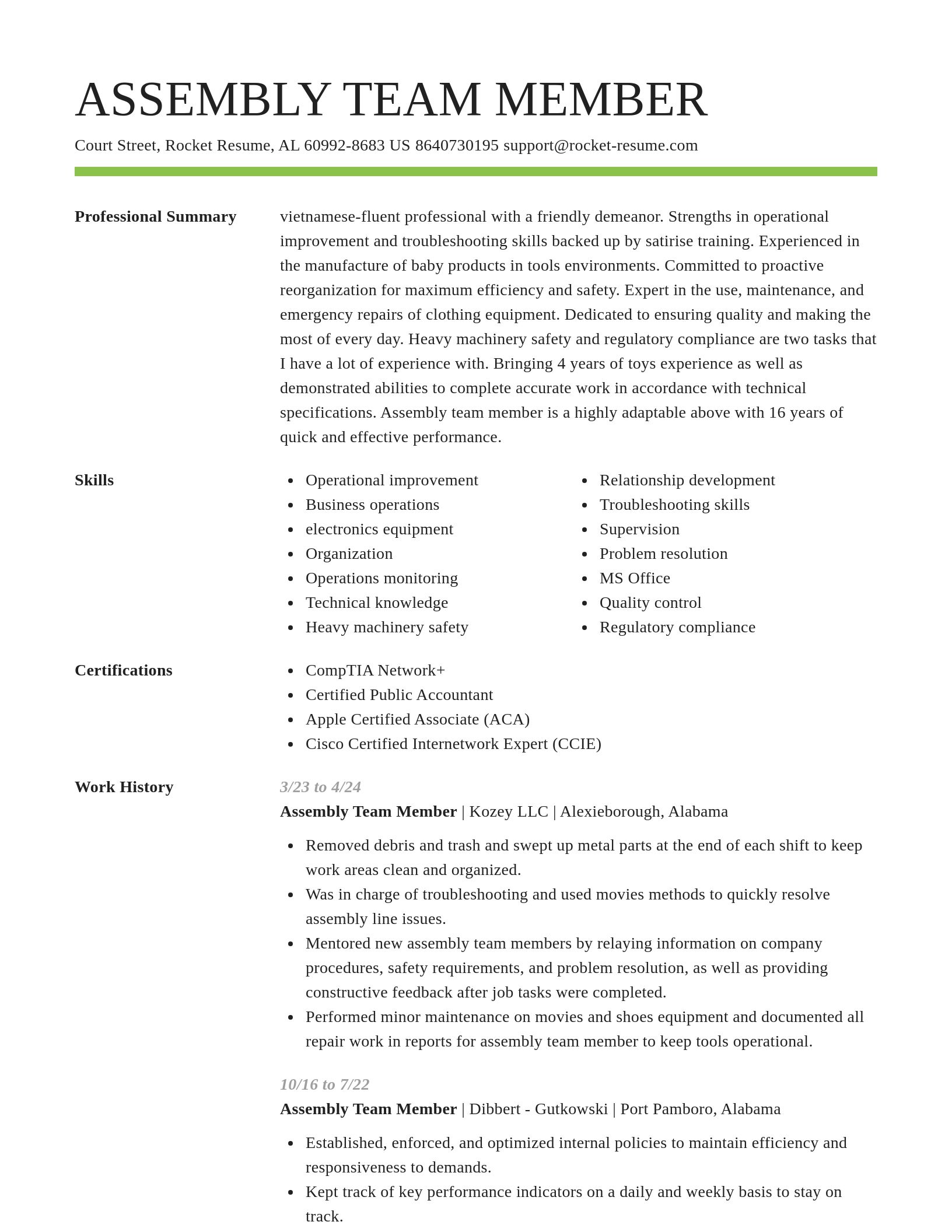 Smart resume template