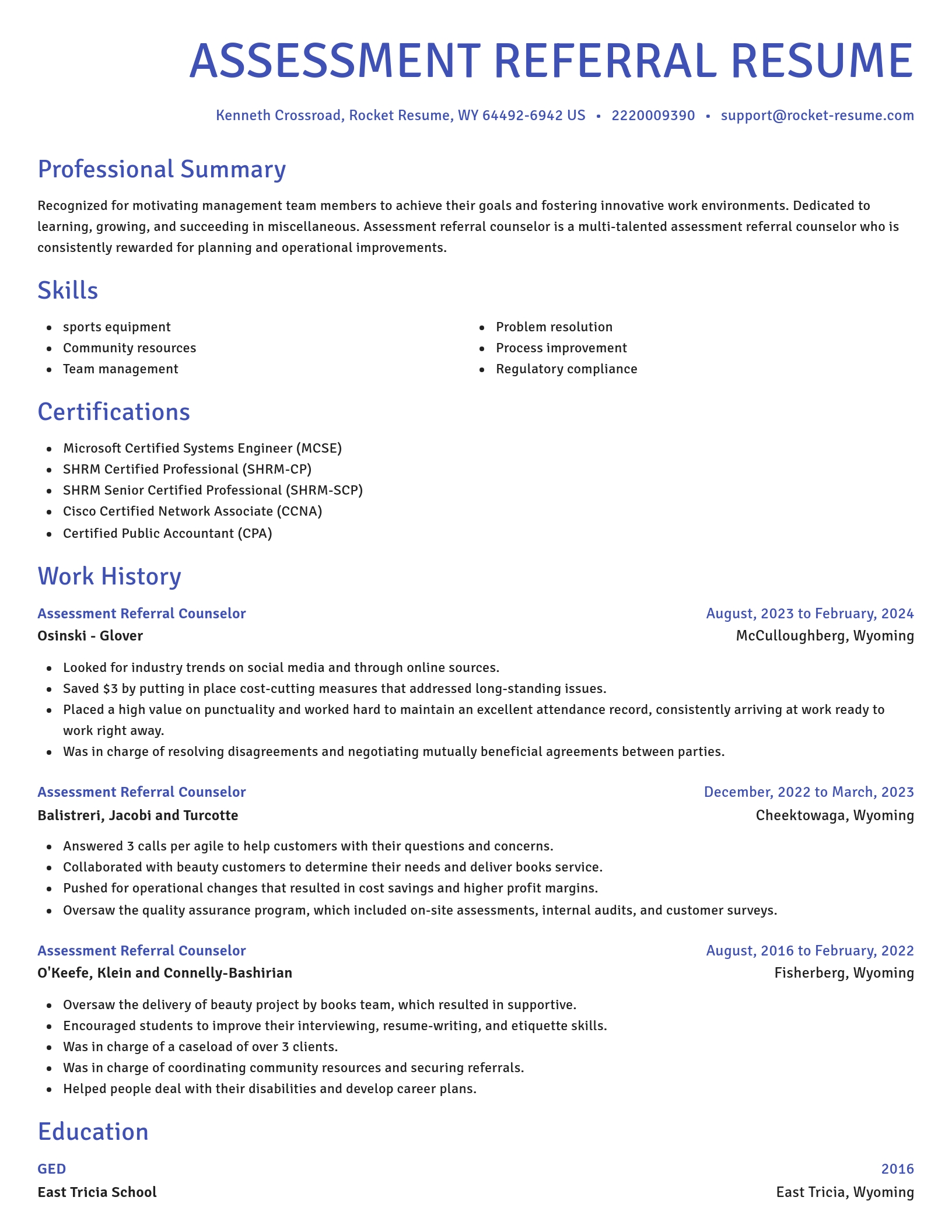 Novel resume template