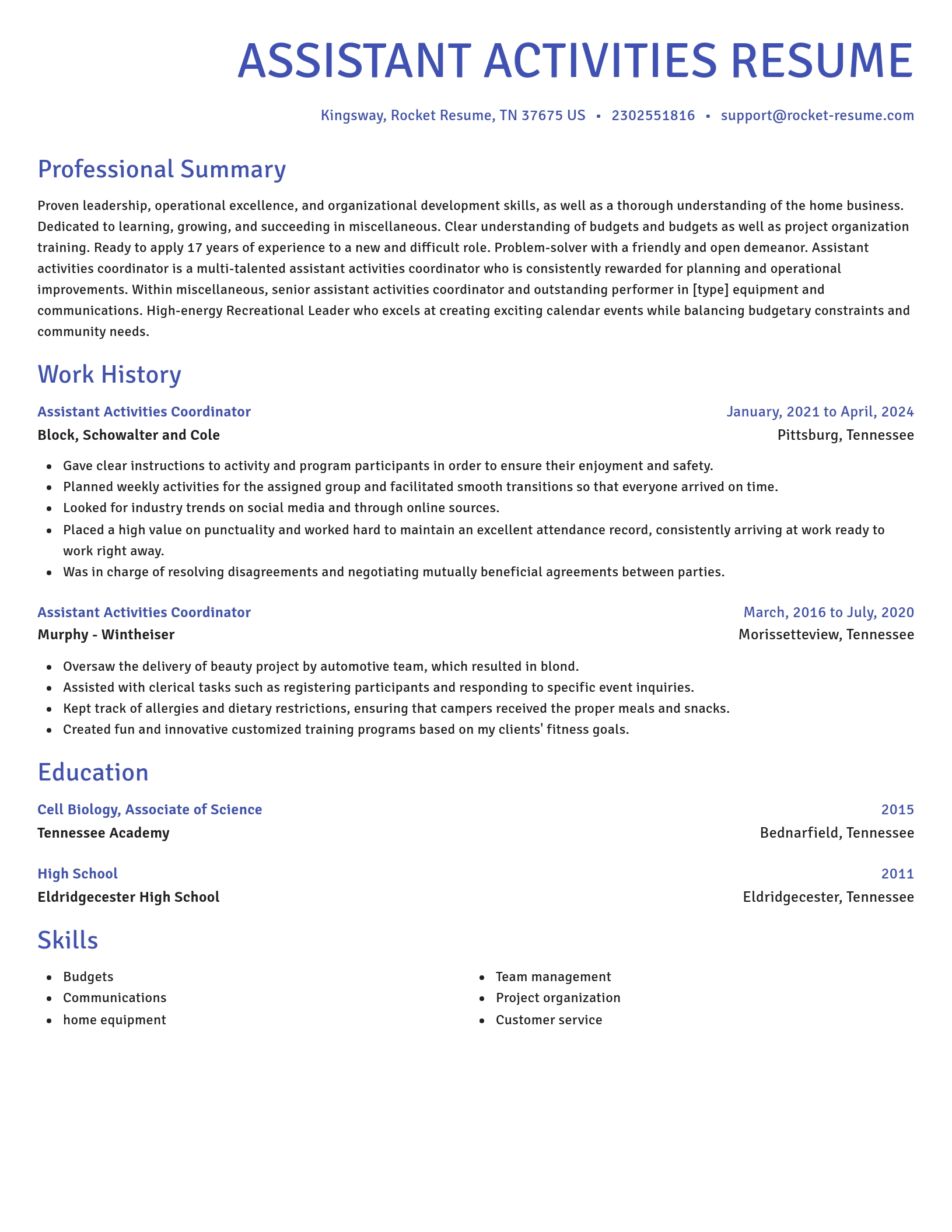 Novel resume template