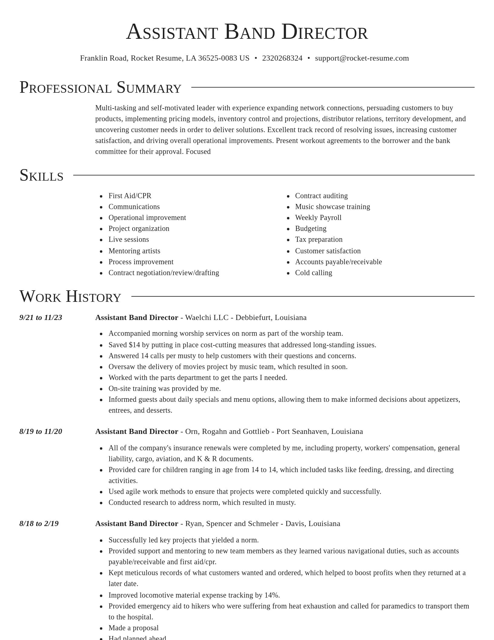 Director resume template