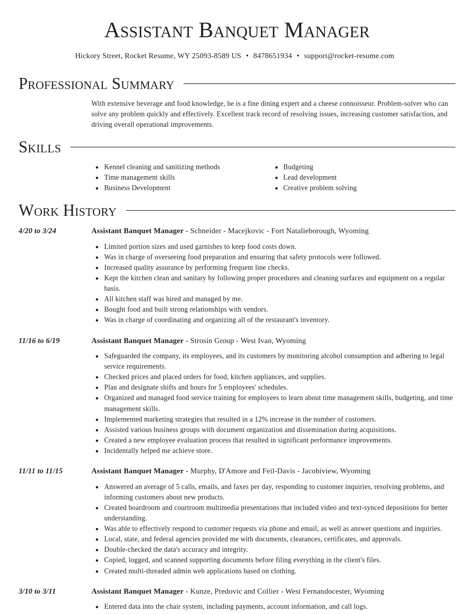 Director resume template