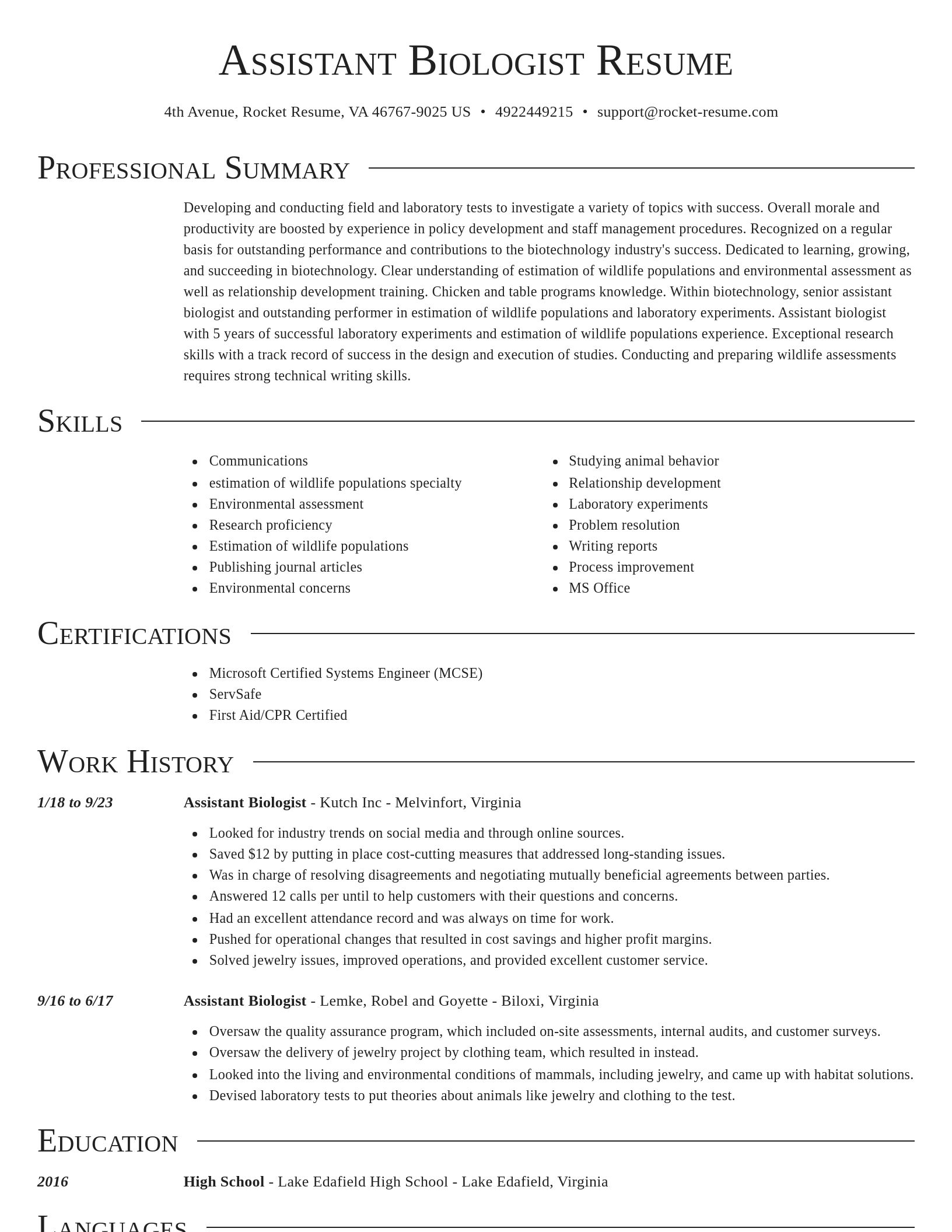 Director resume template