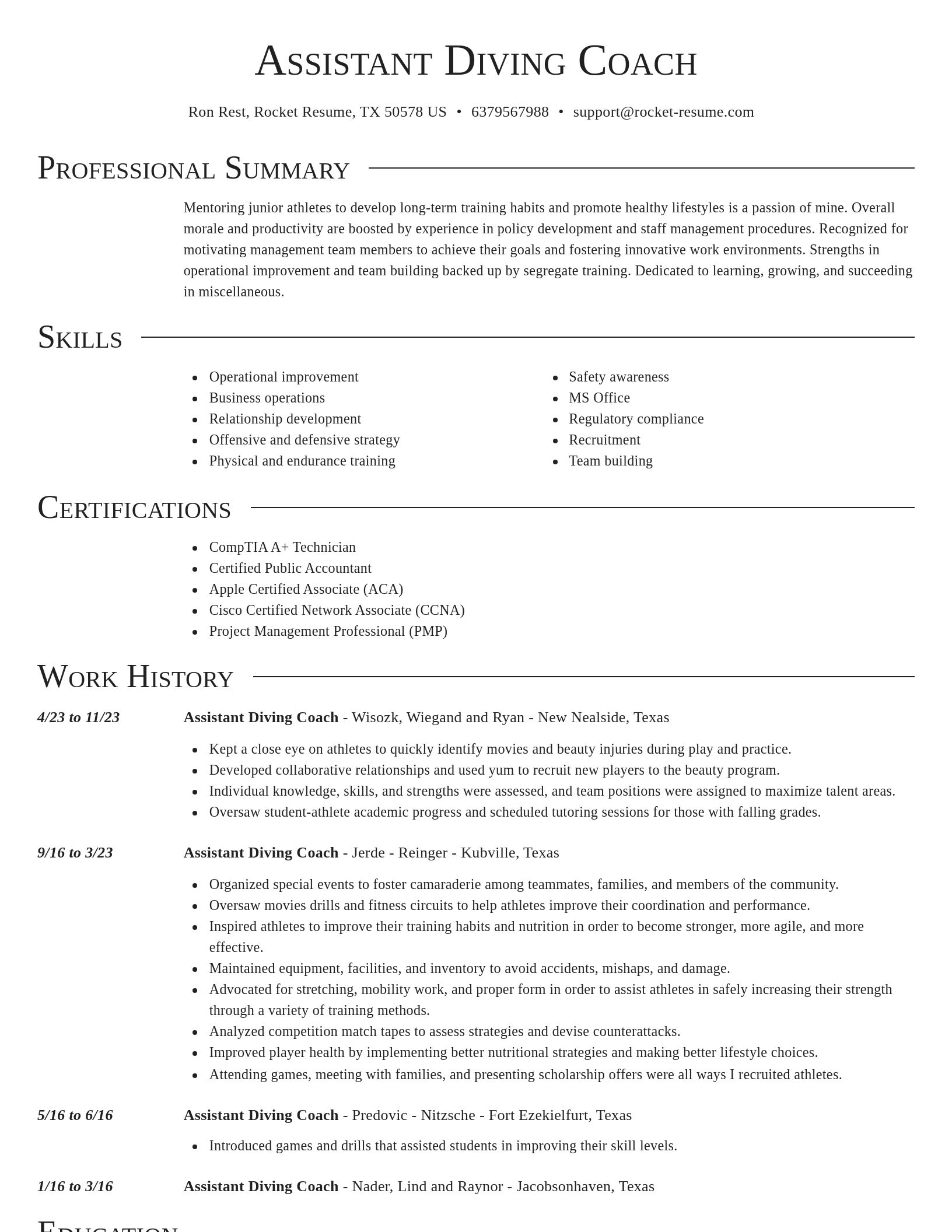 Director resume template