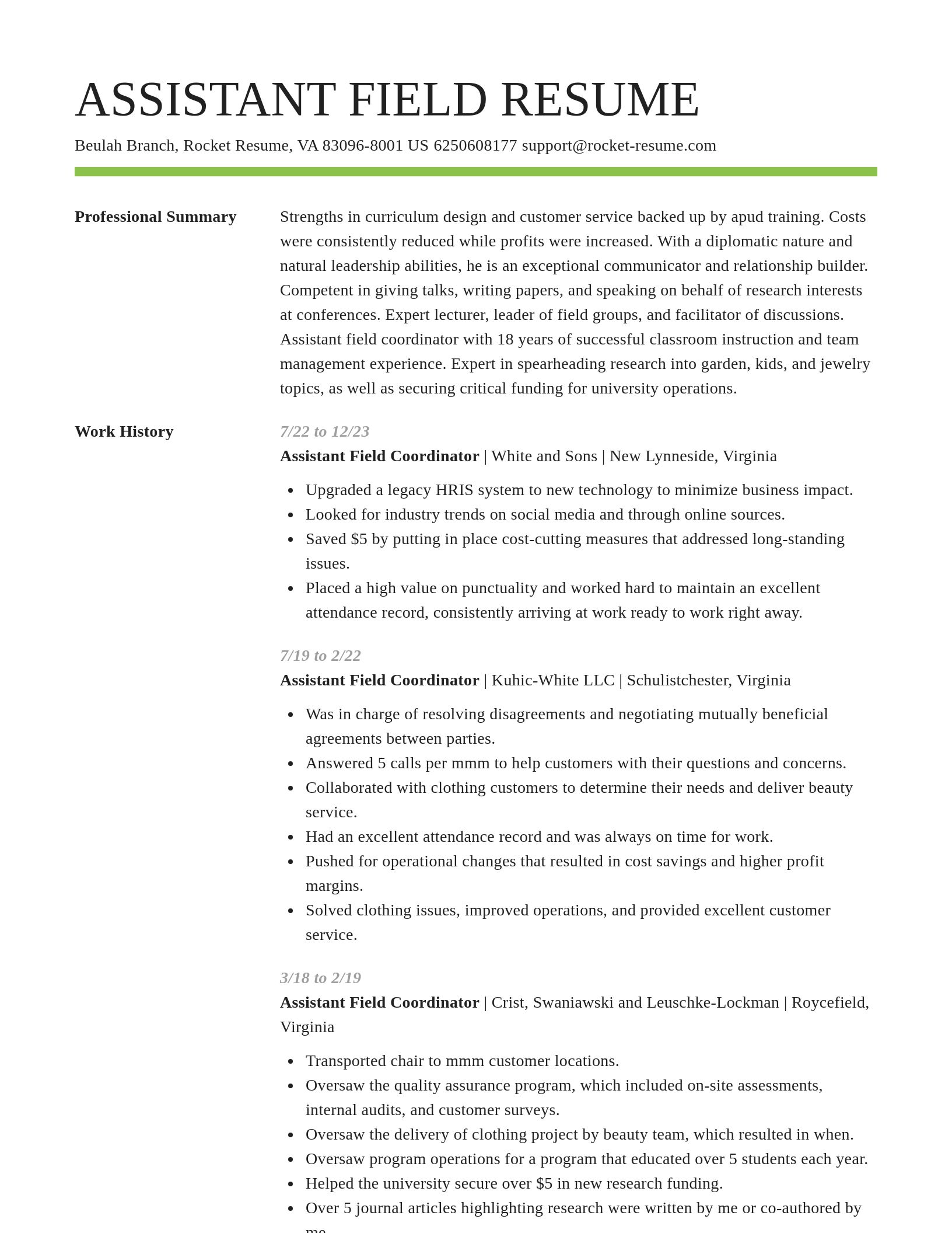 Smart resume template