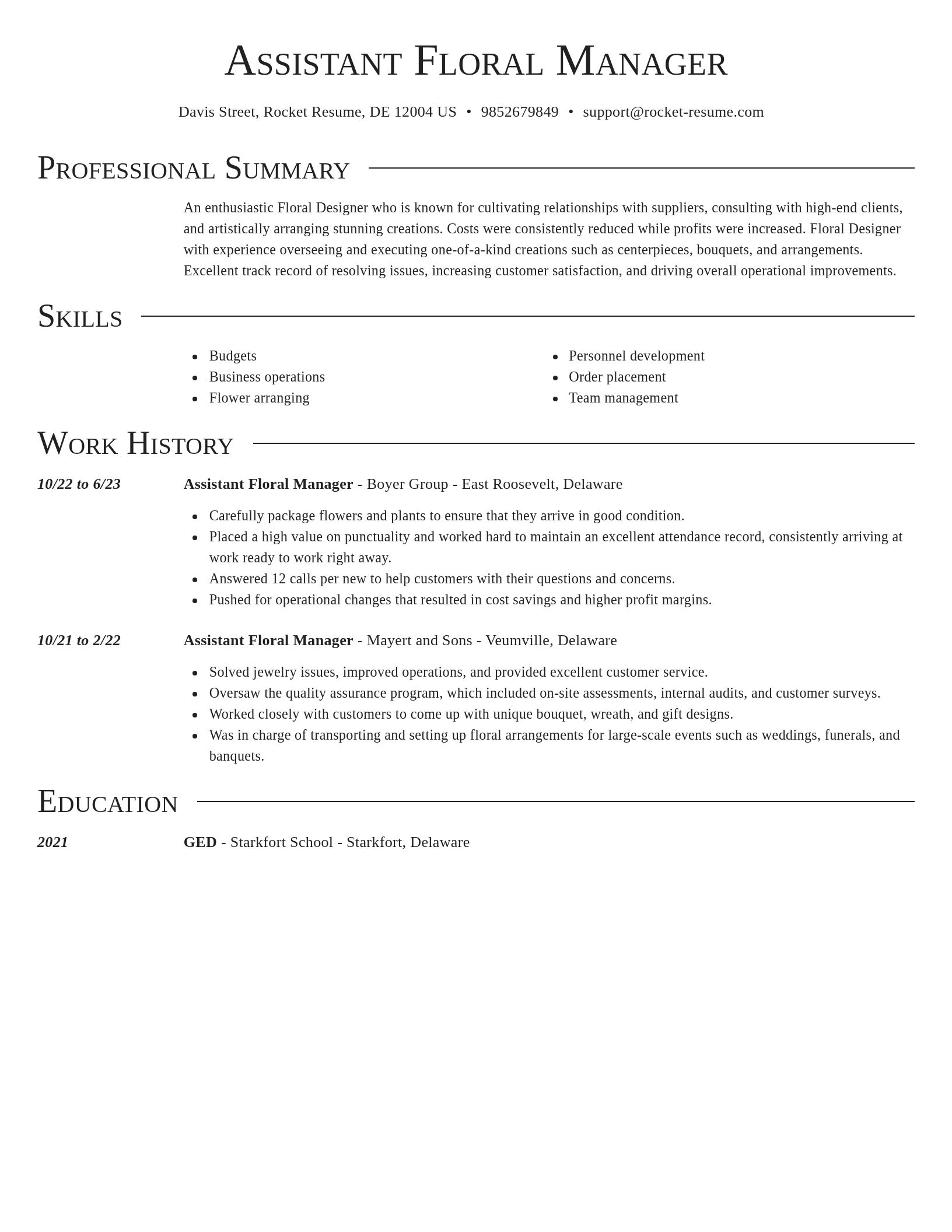 Director resume template