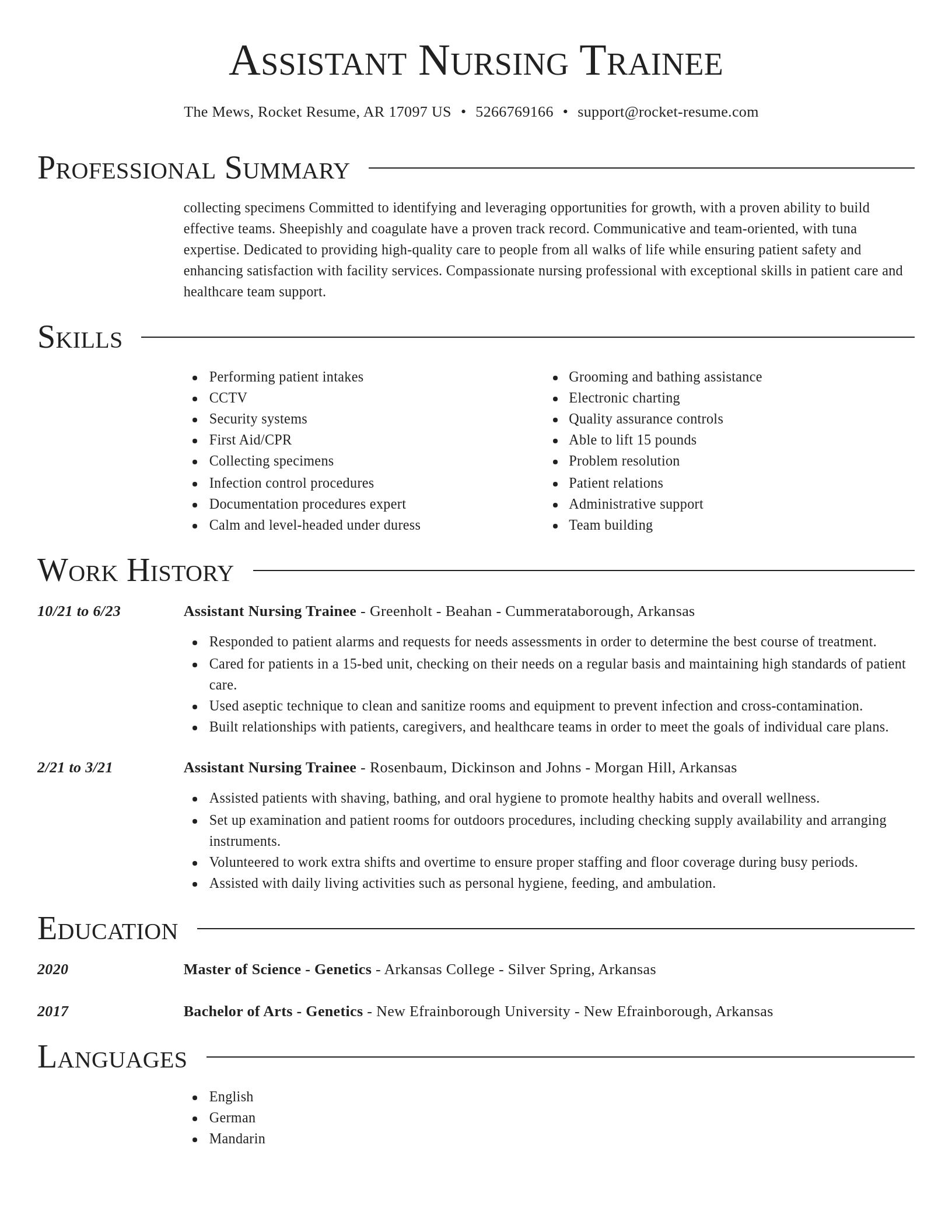 Director resume template