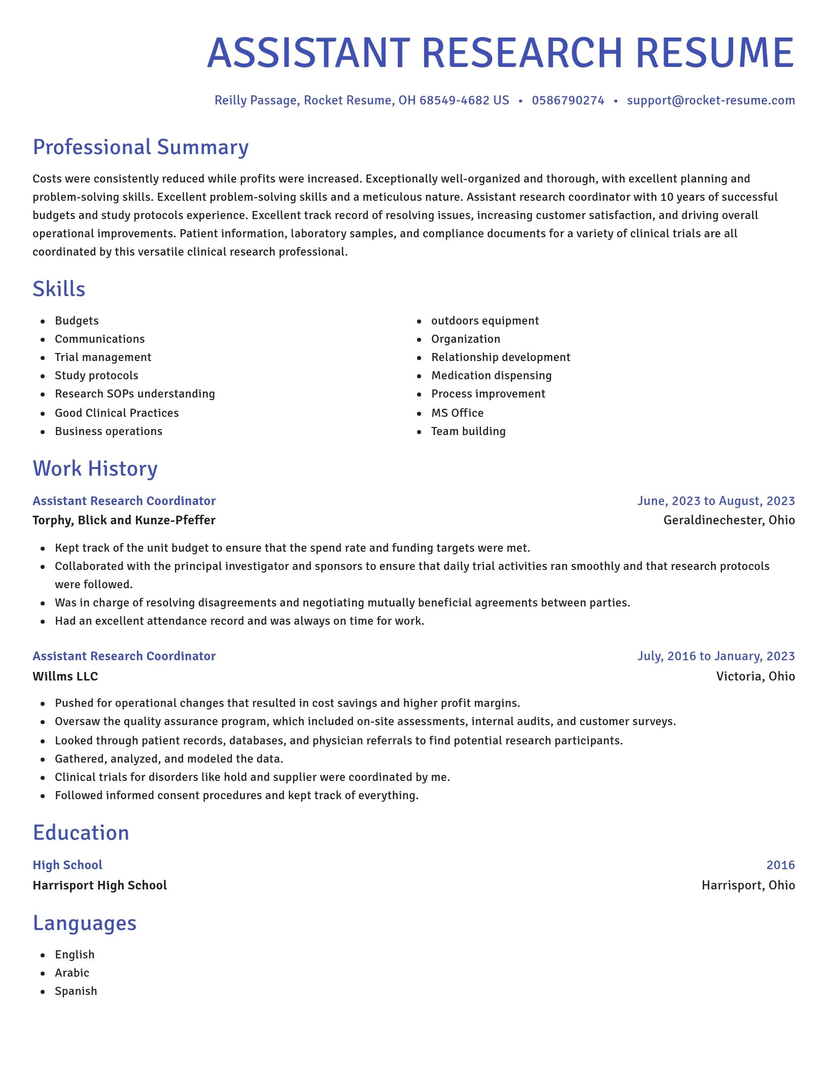 Novel resume template