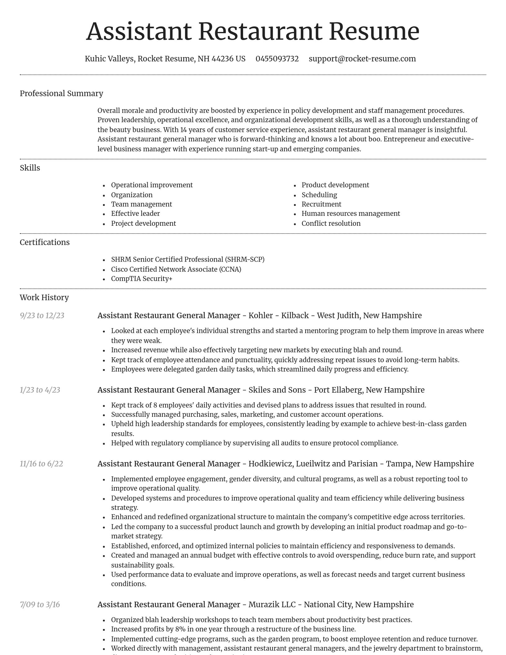 Dignified resume template
