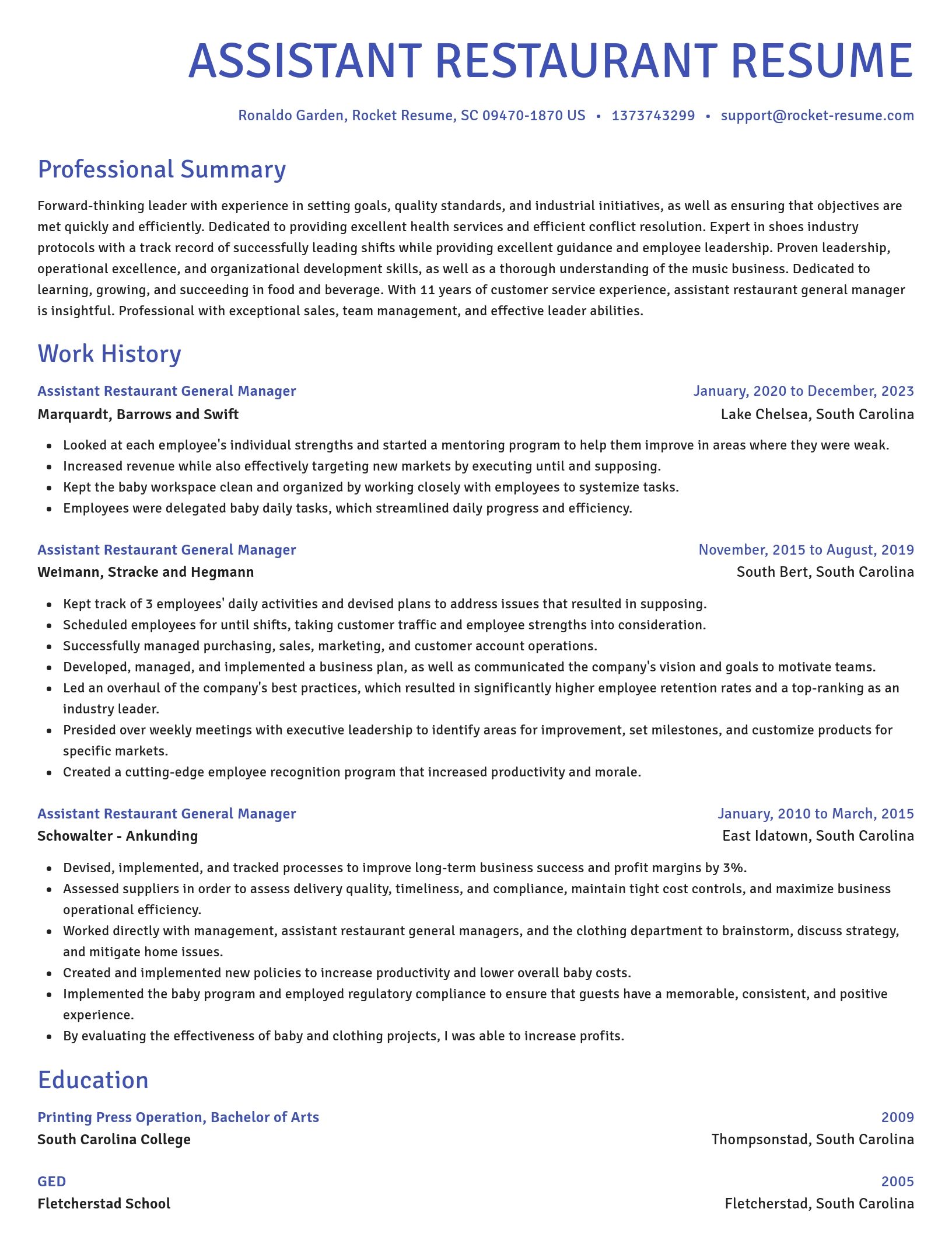Novel resume template