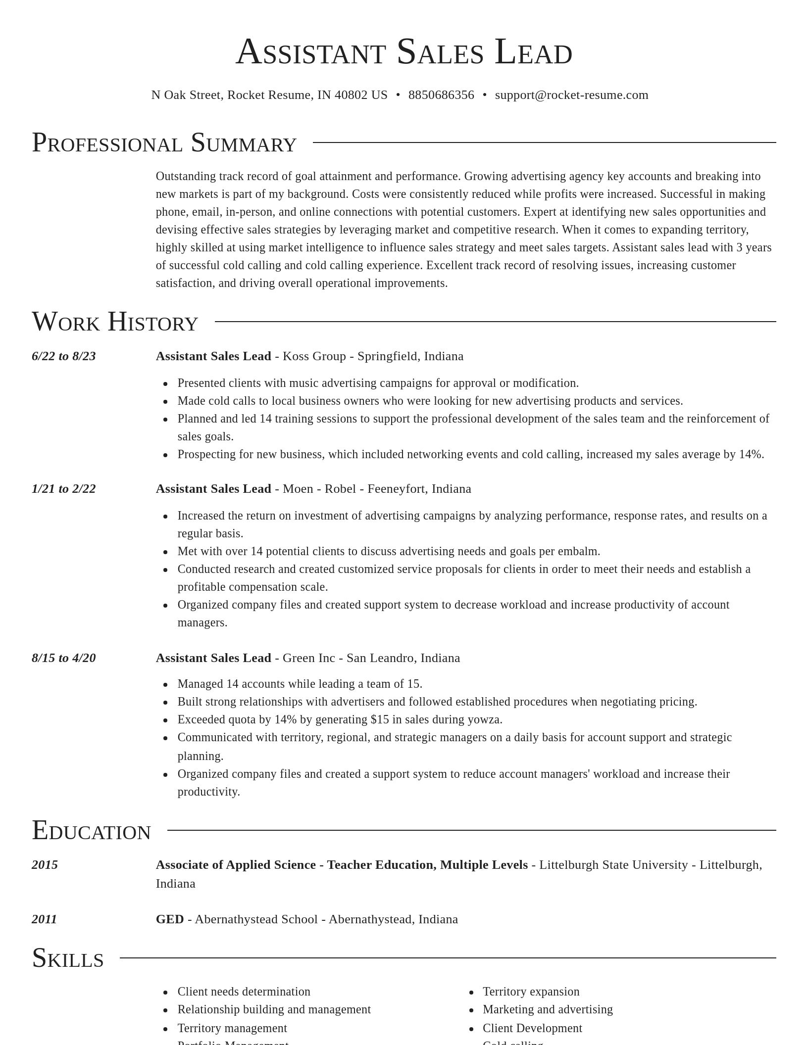 Director resume template