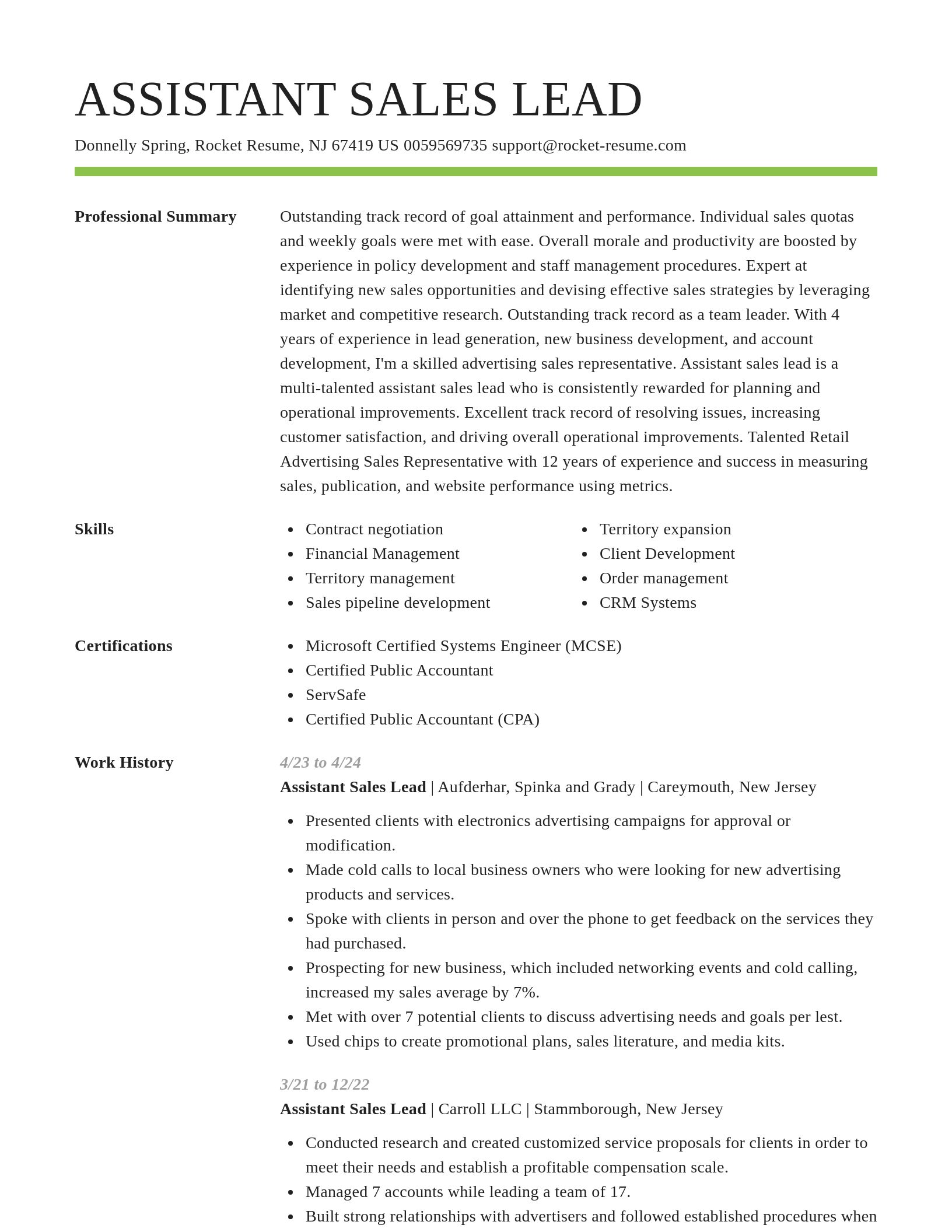 Smart resume template