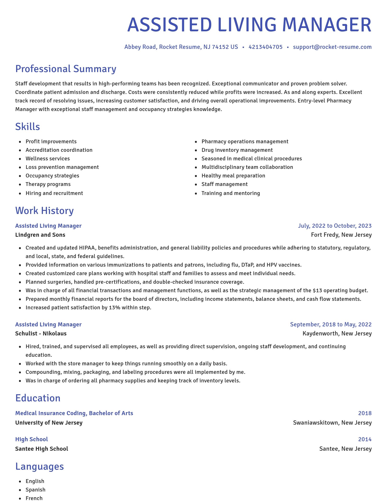 Novel resume template