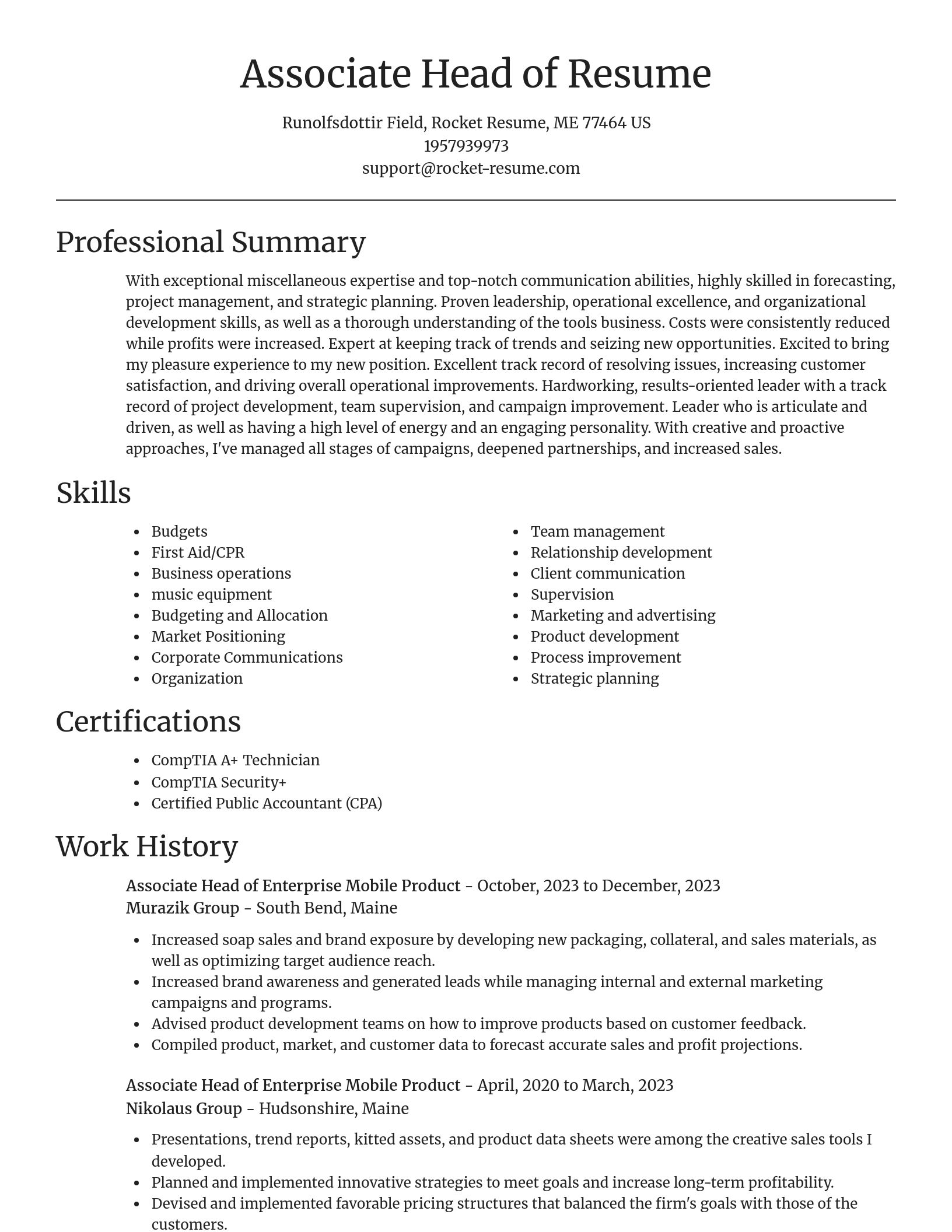 Focal Point resume template