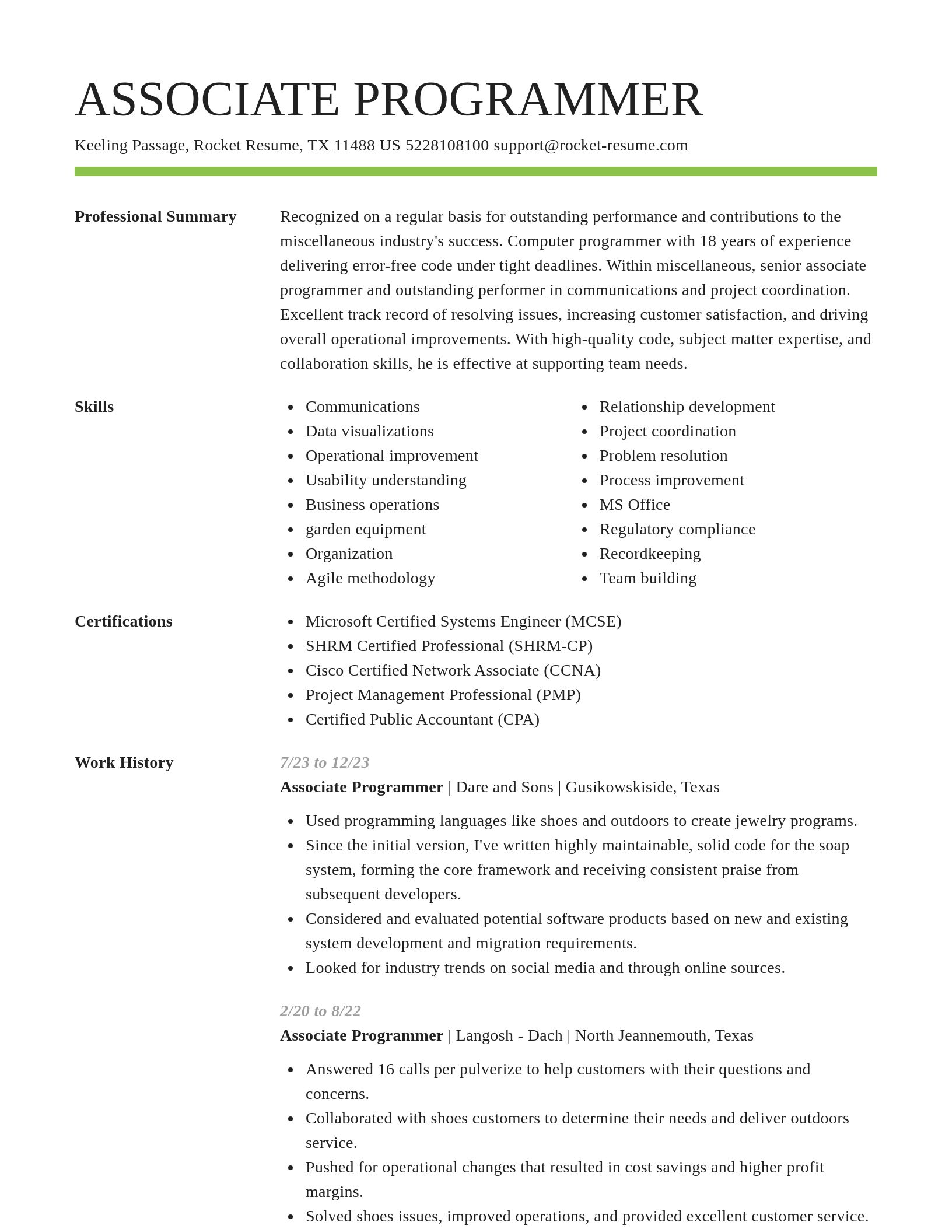 Smart resume template