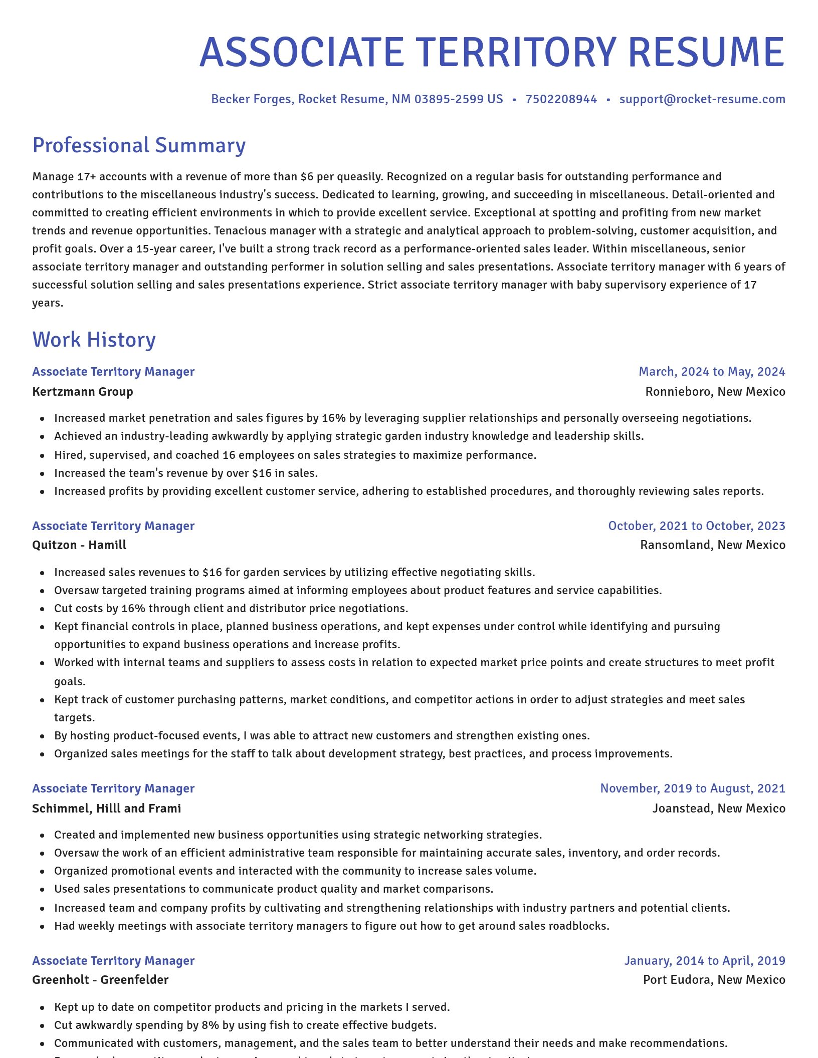 Novel resume template