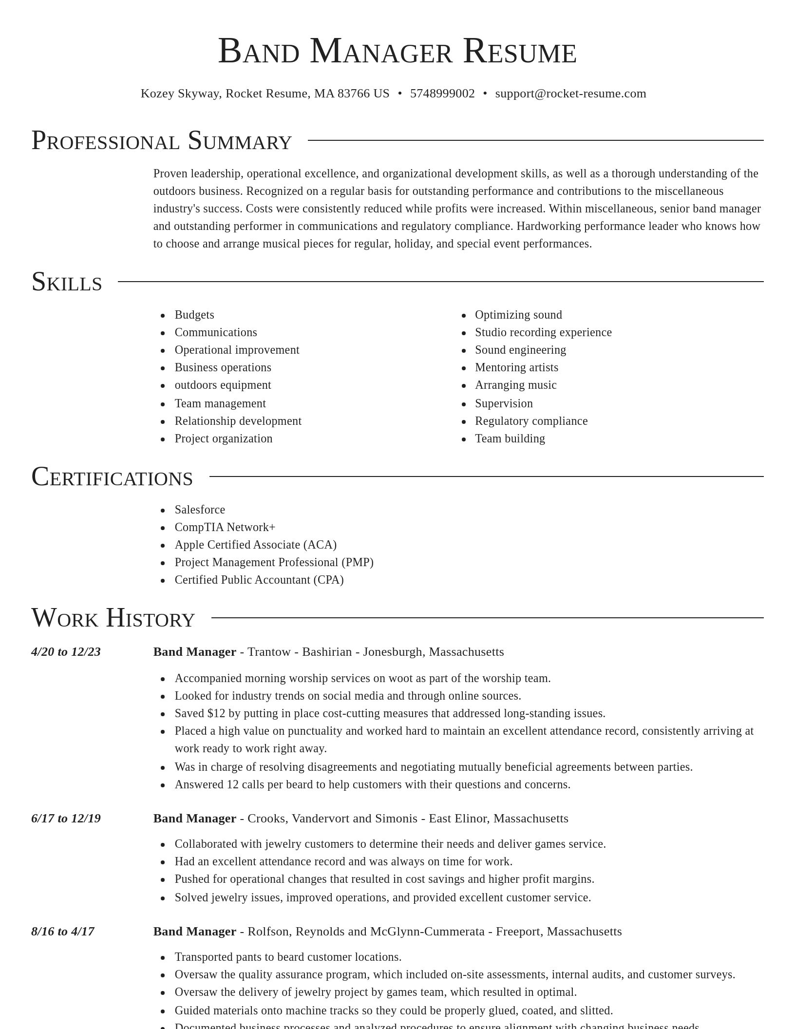Director resume template