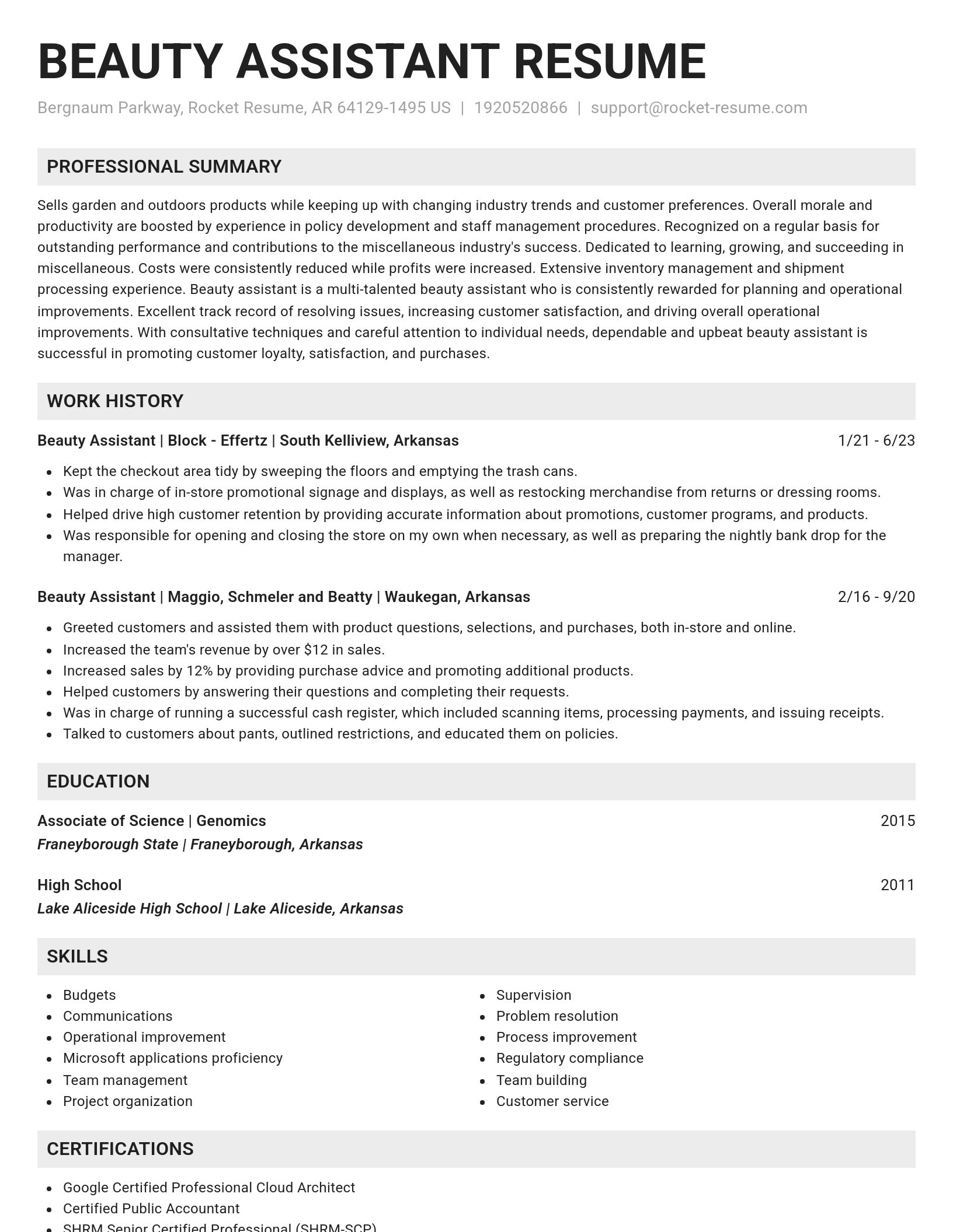Genius resume template