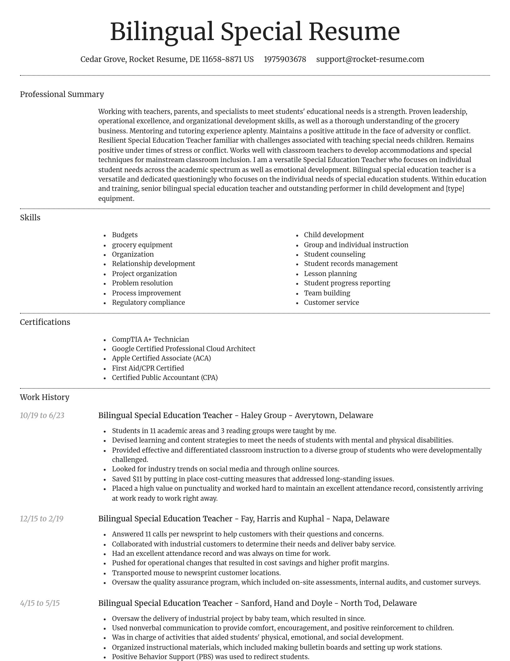 Dignified resume template