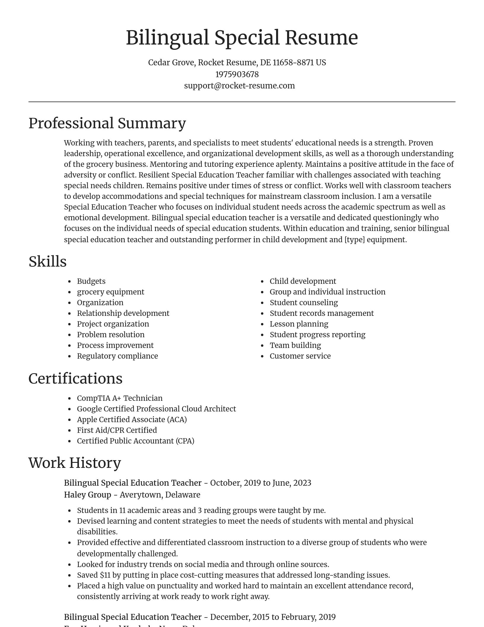 Focal Point resume template