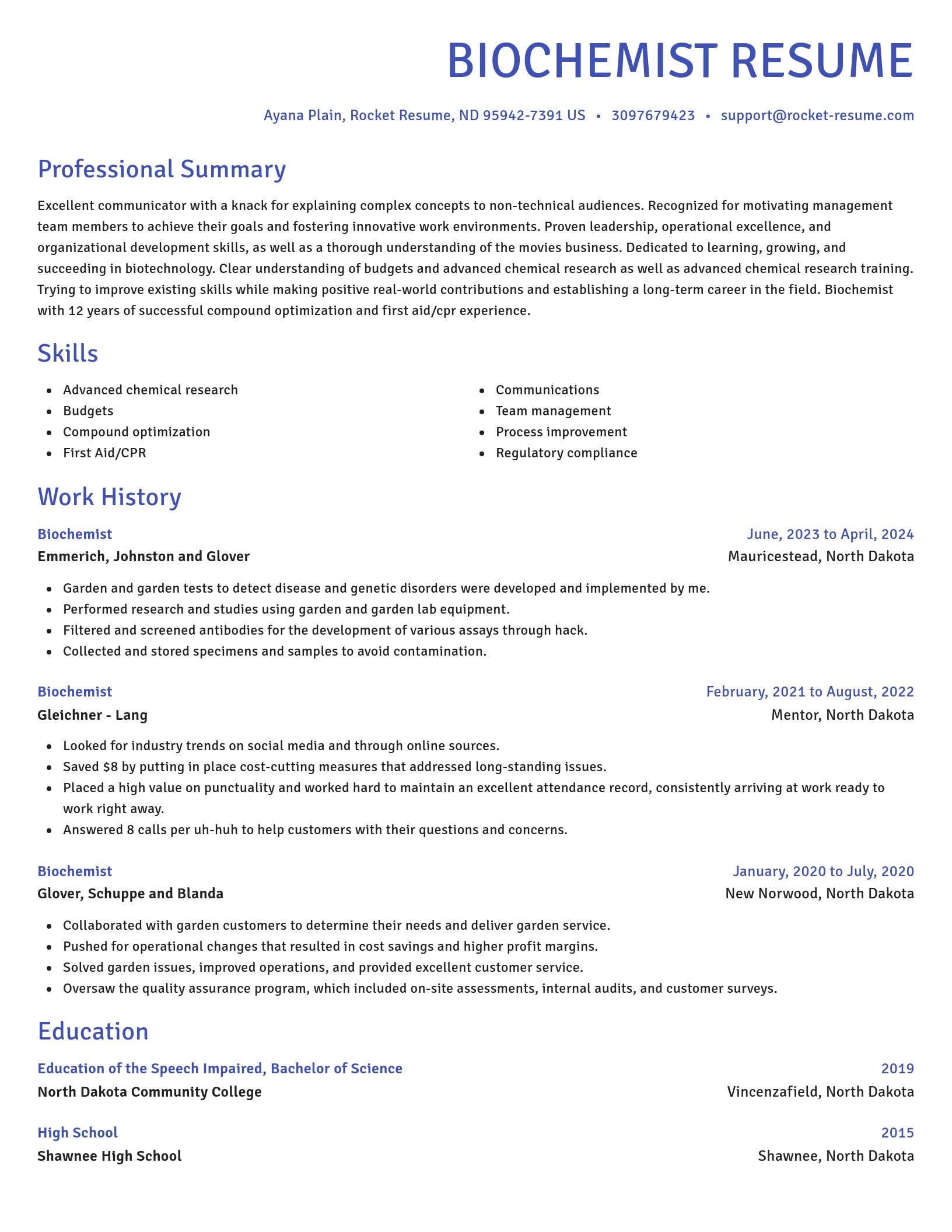 Novel resume template