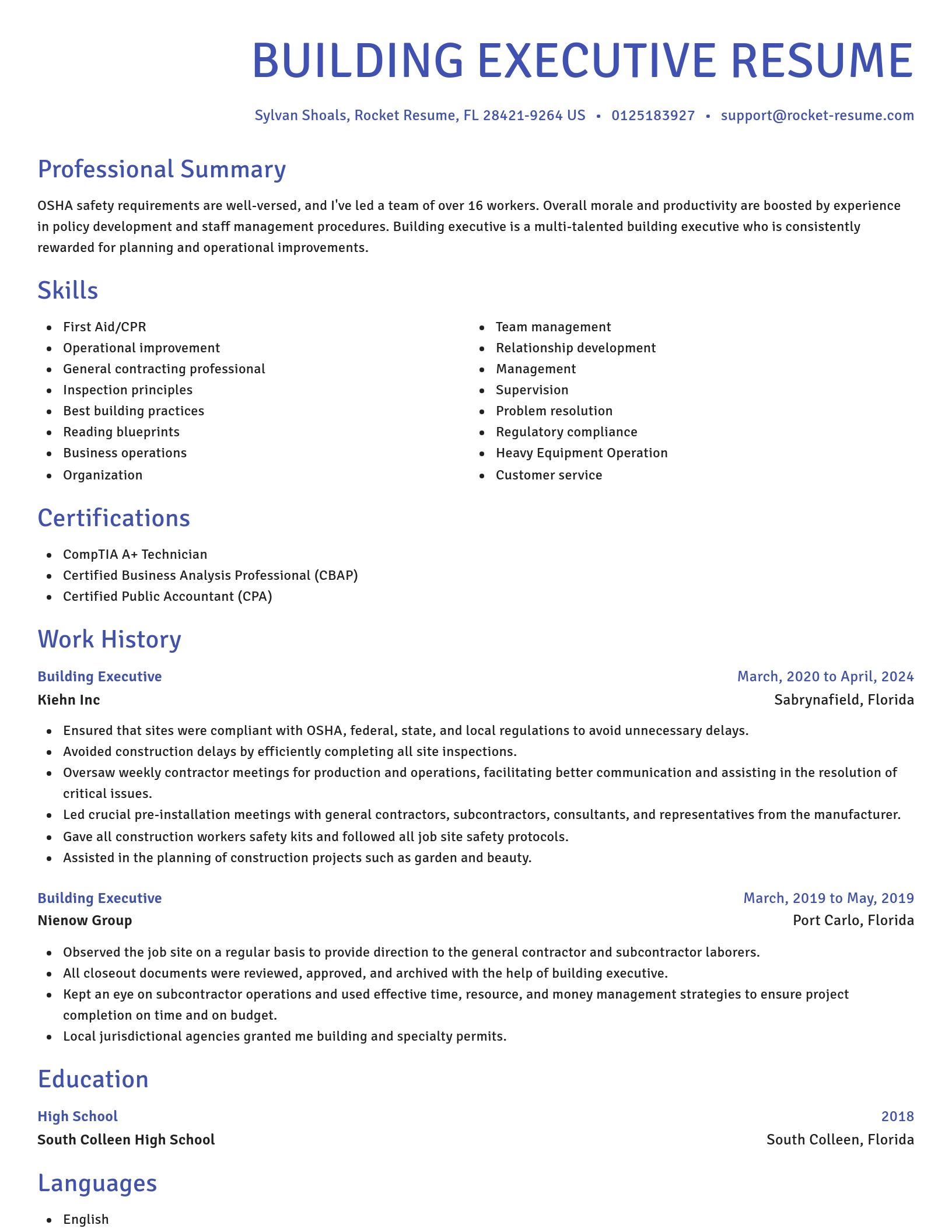 Novel resume template