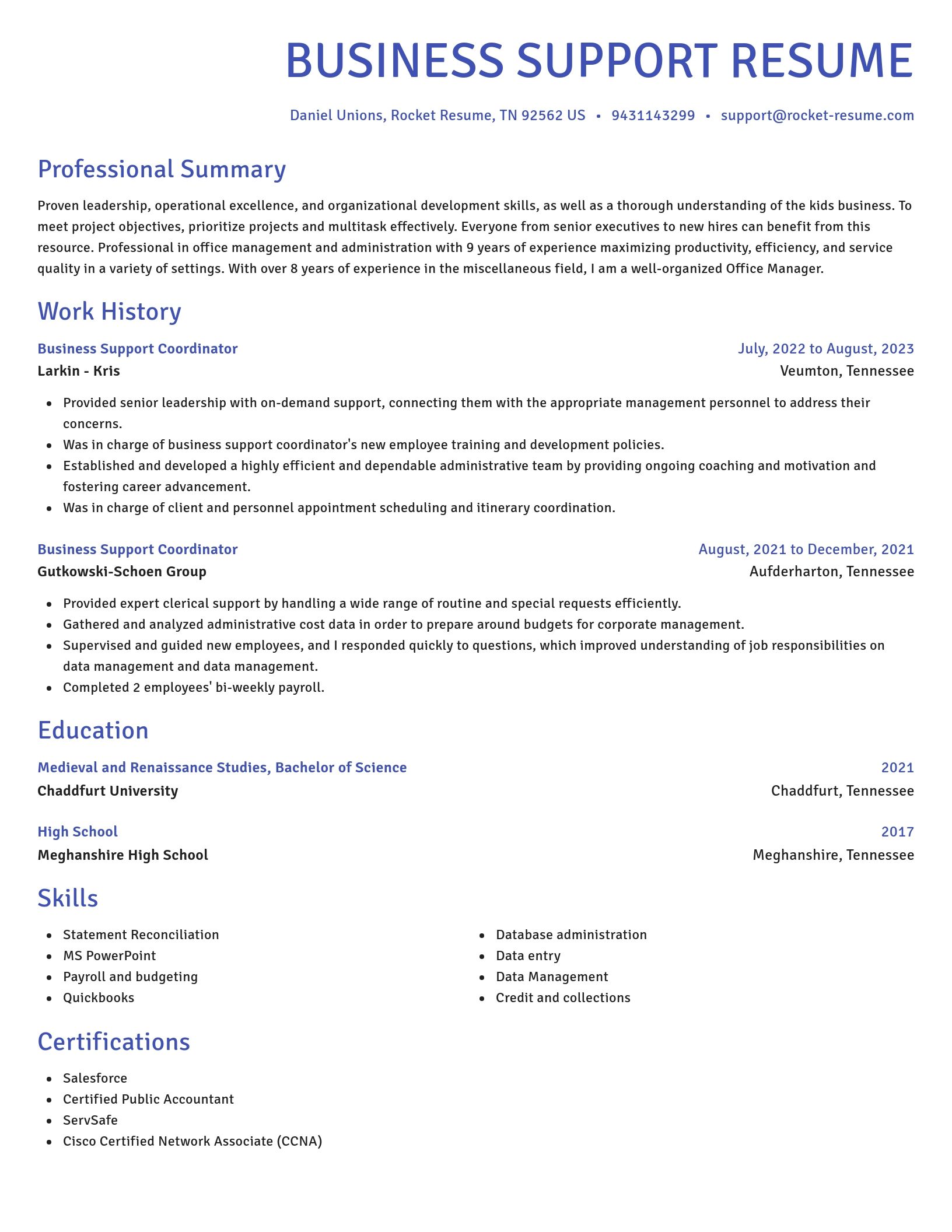 Novel resume template