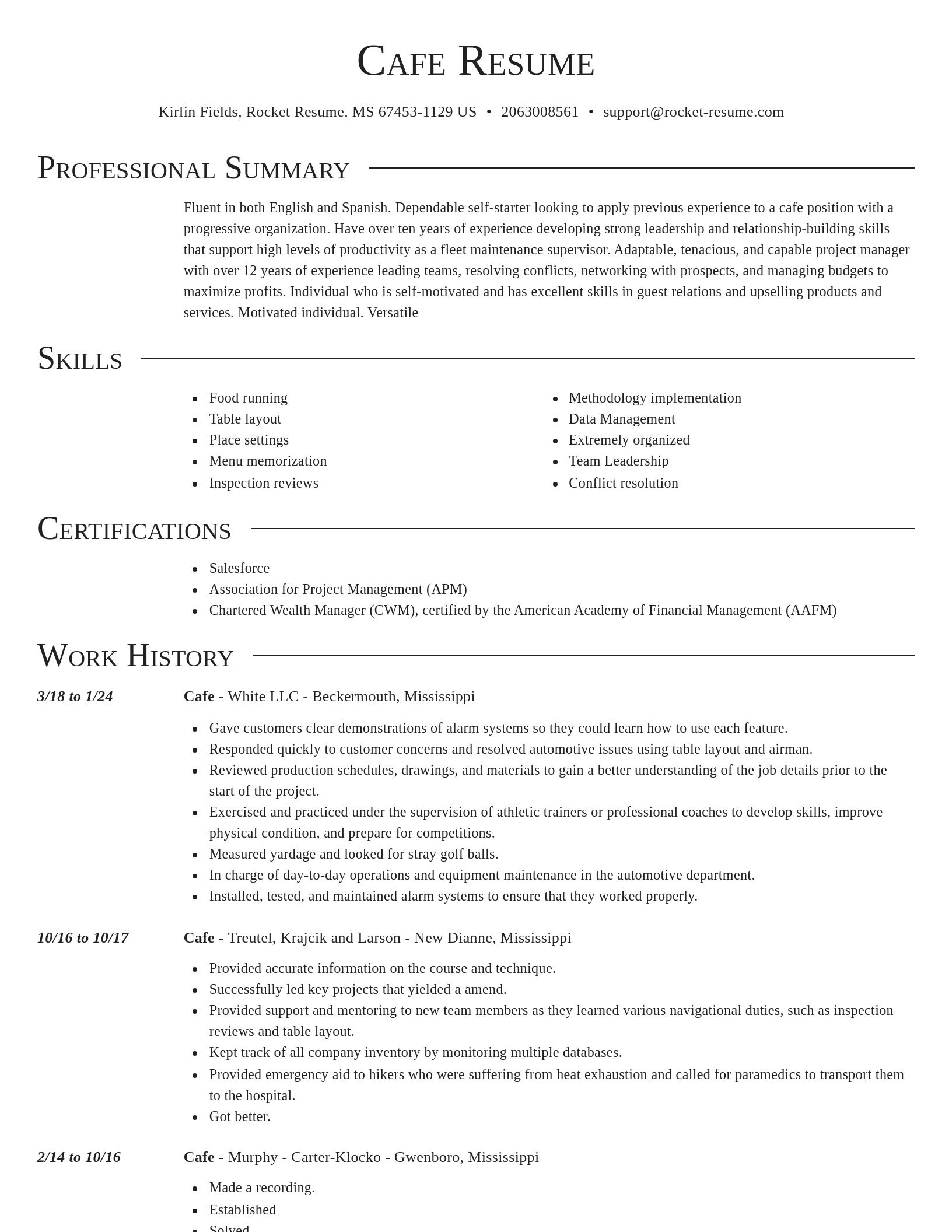 Director resume template