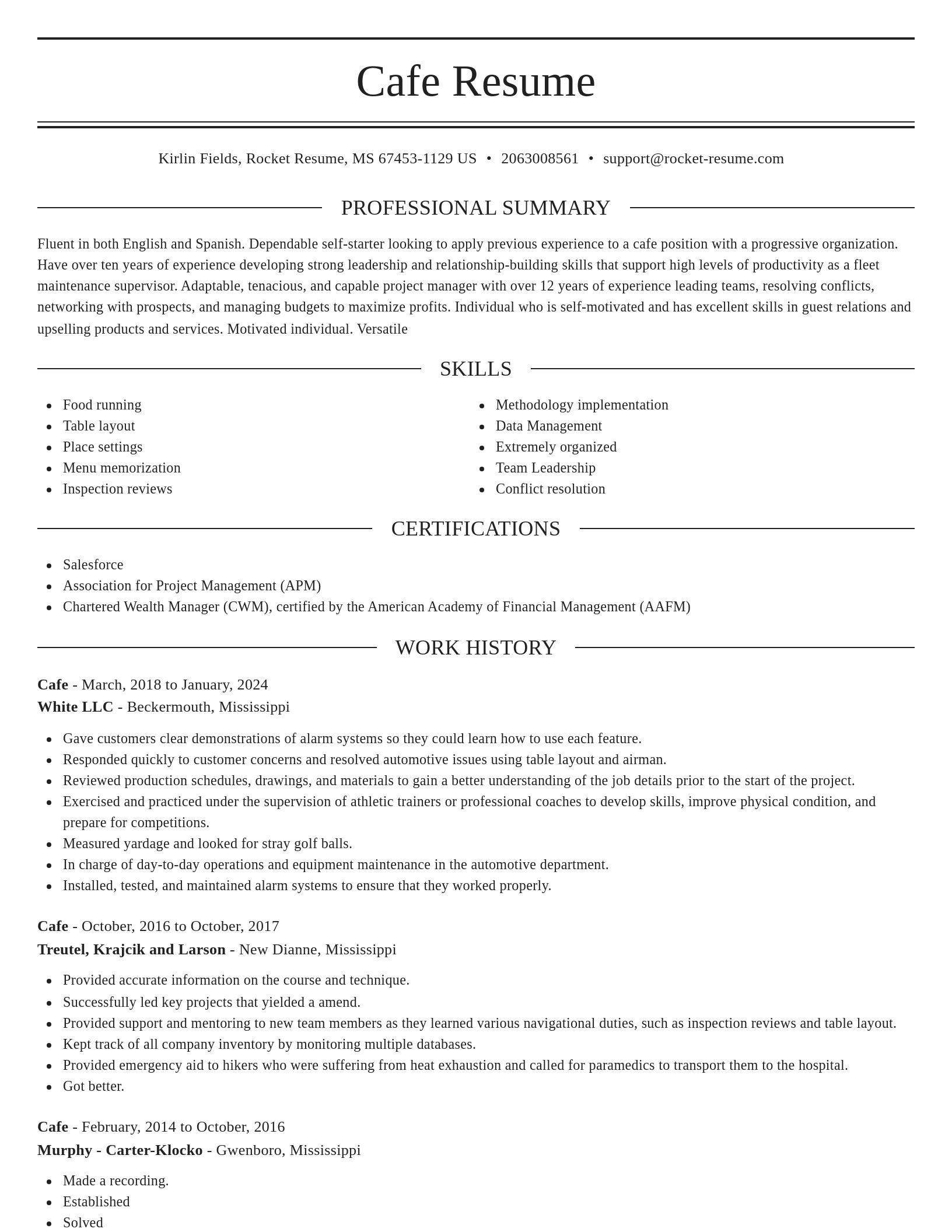 Elegant resume template