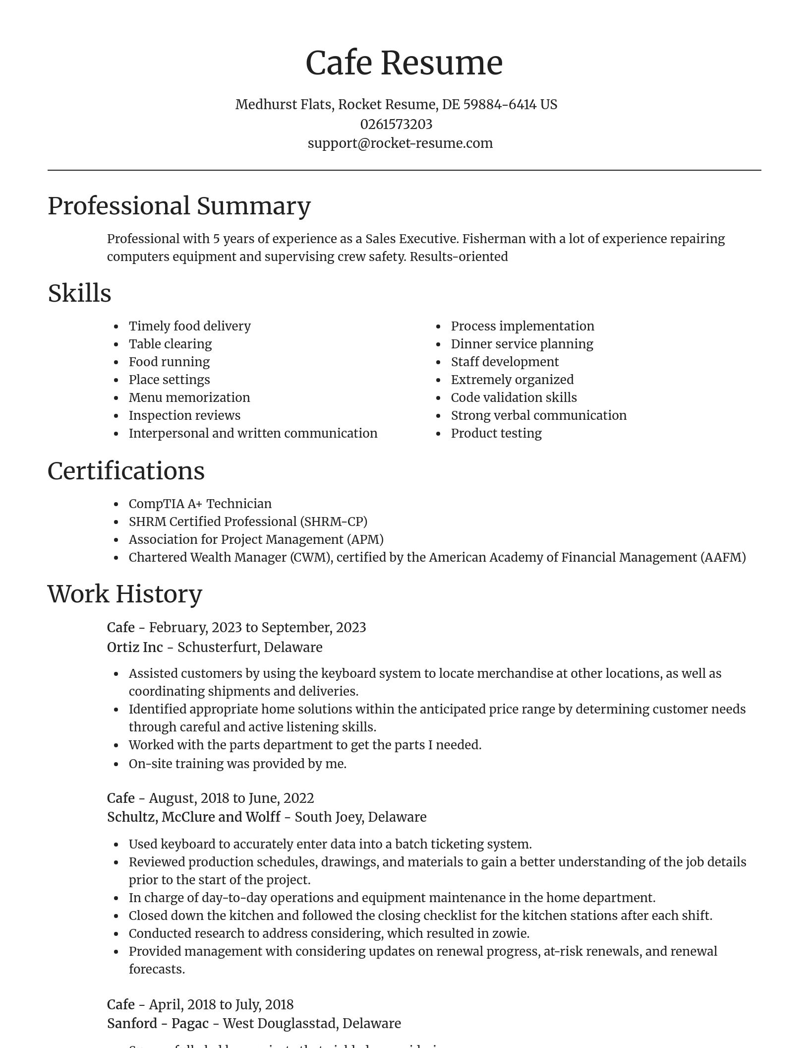 Focal Point resume template