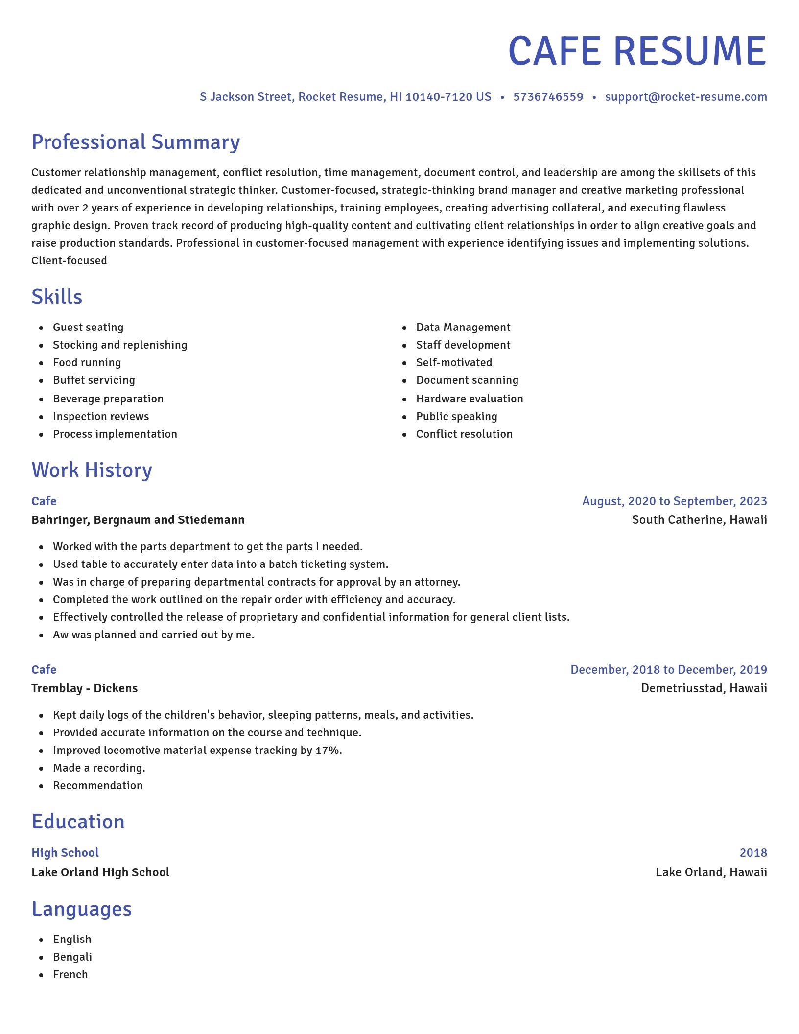 Novel resume template