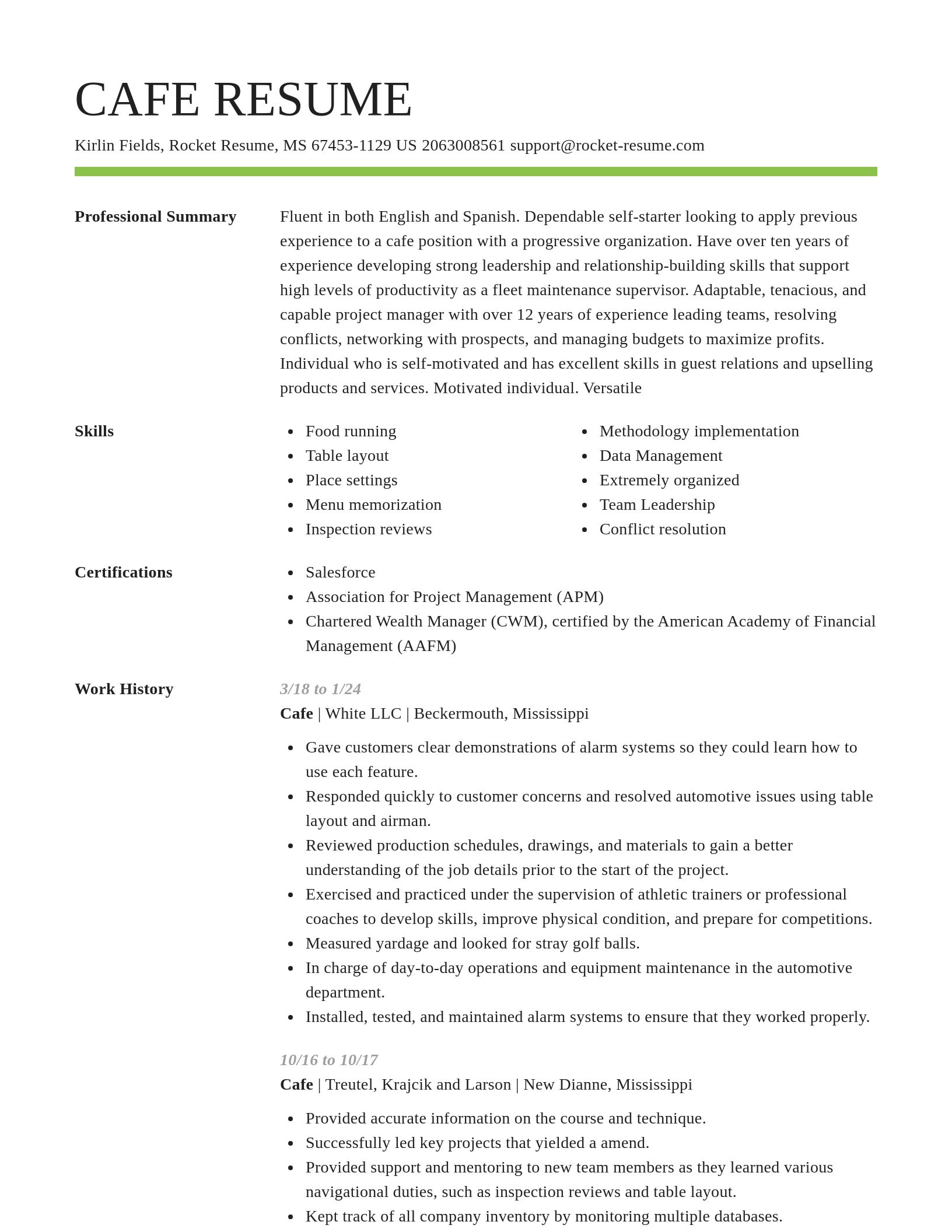 Smart resume template