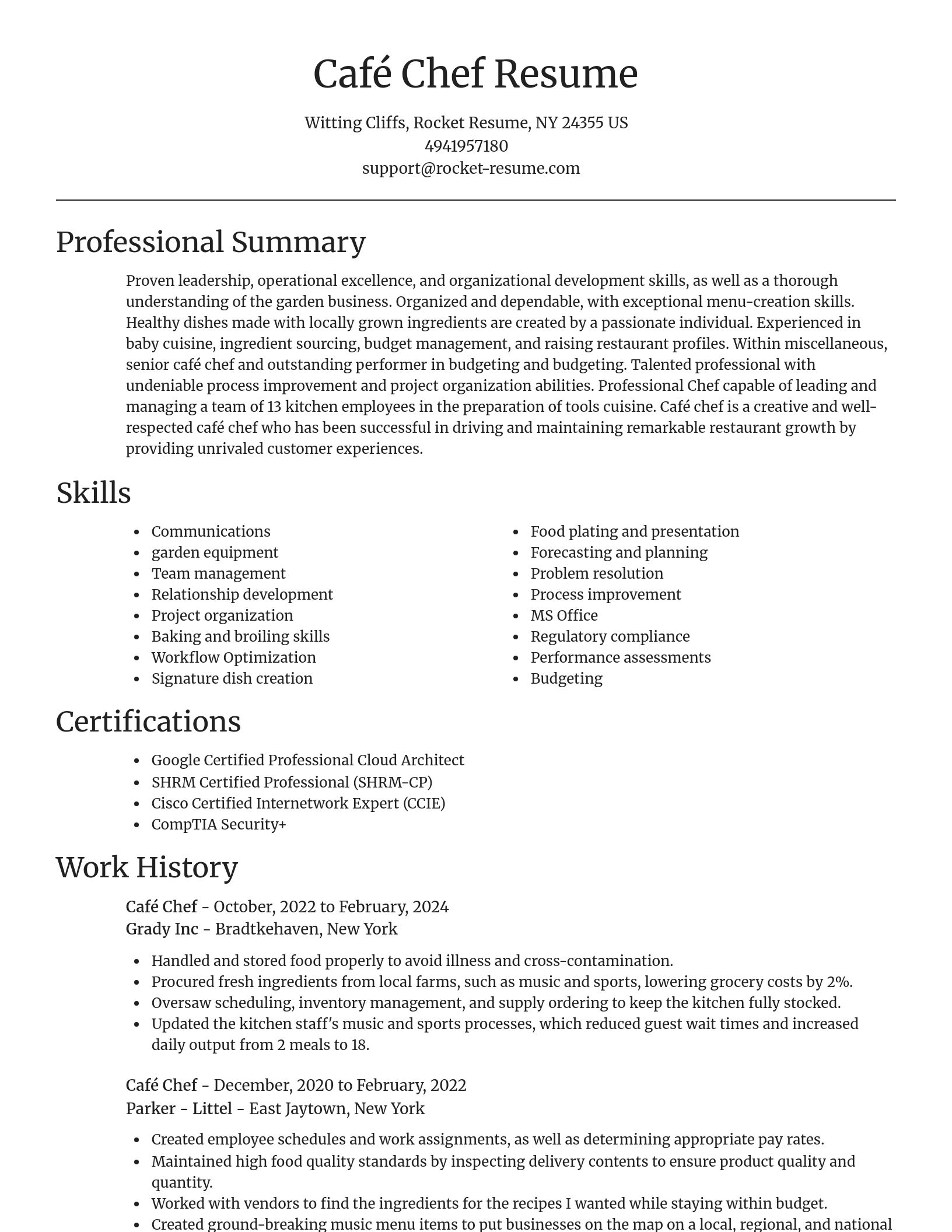 Focal Point resume template