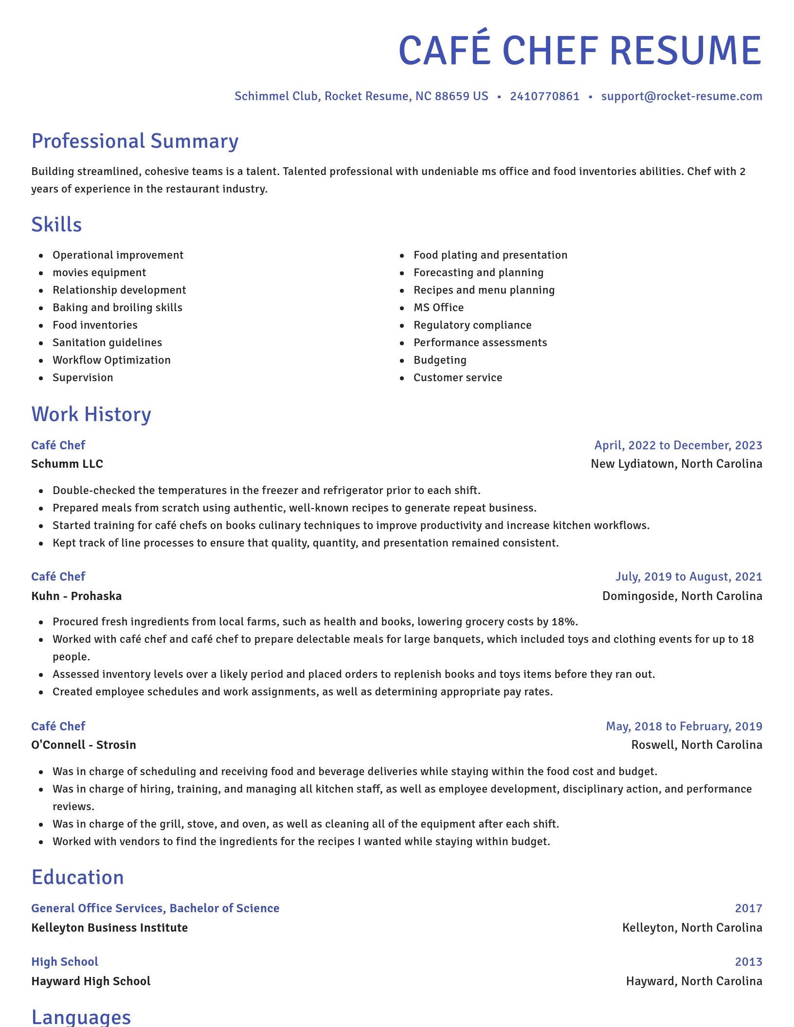 Novel resume template