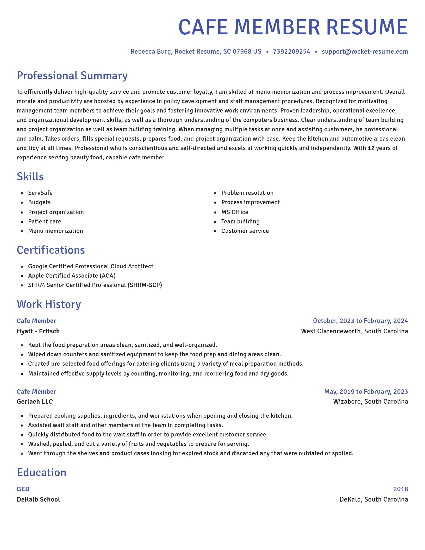 Novel resume template