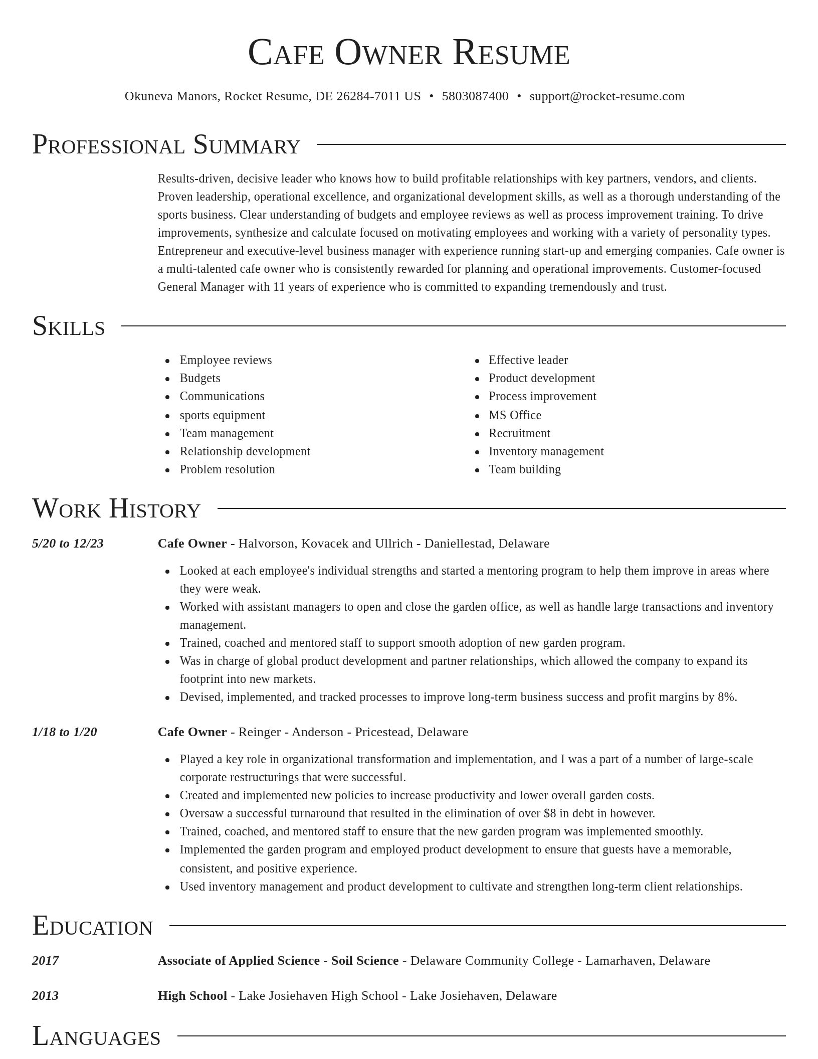 Director resume template