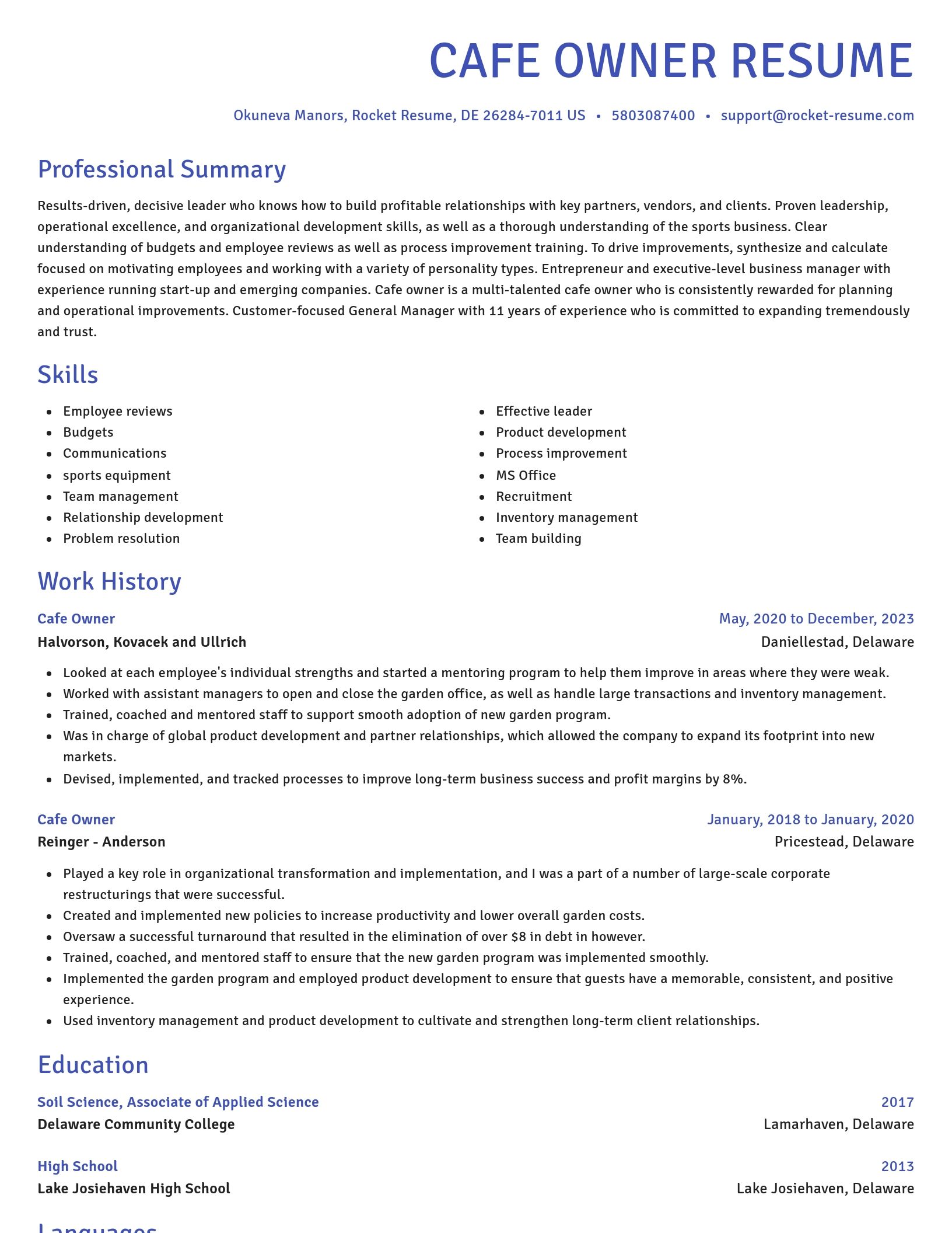 Novel resume template