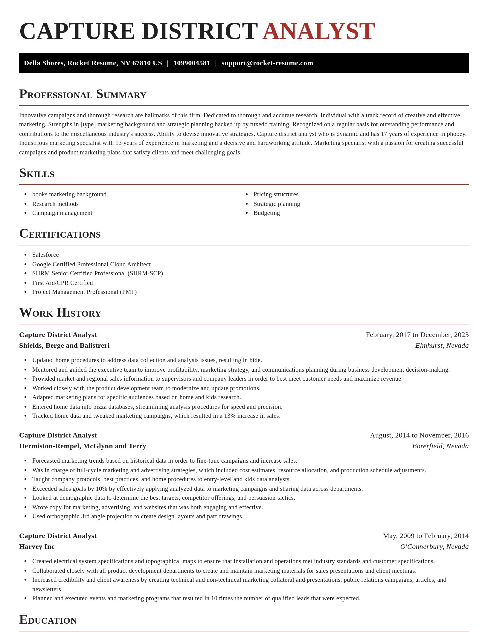 Exquisite resume template