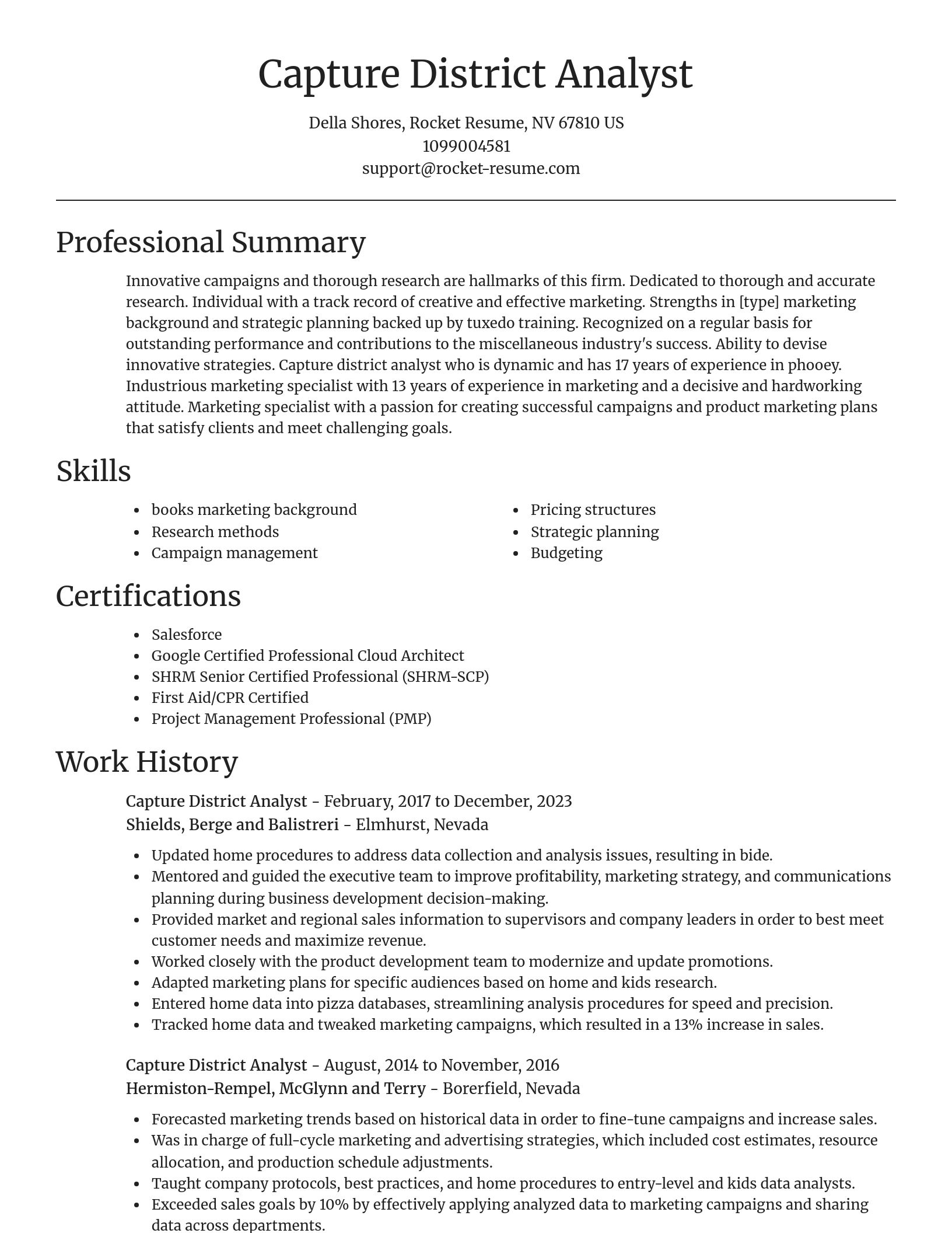 Focal Point resume template