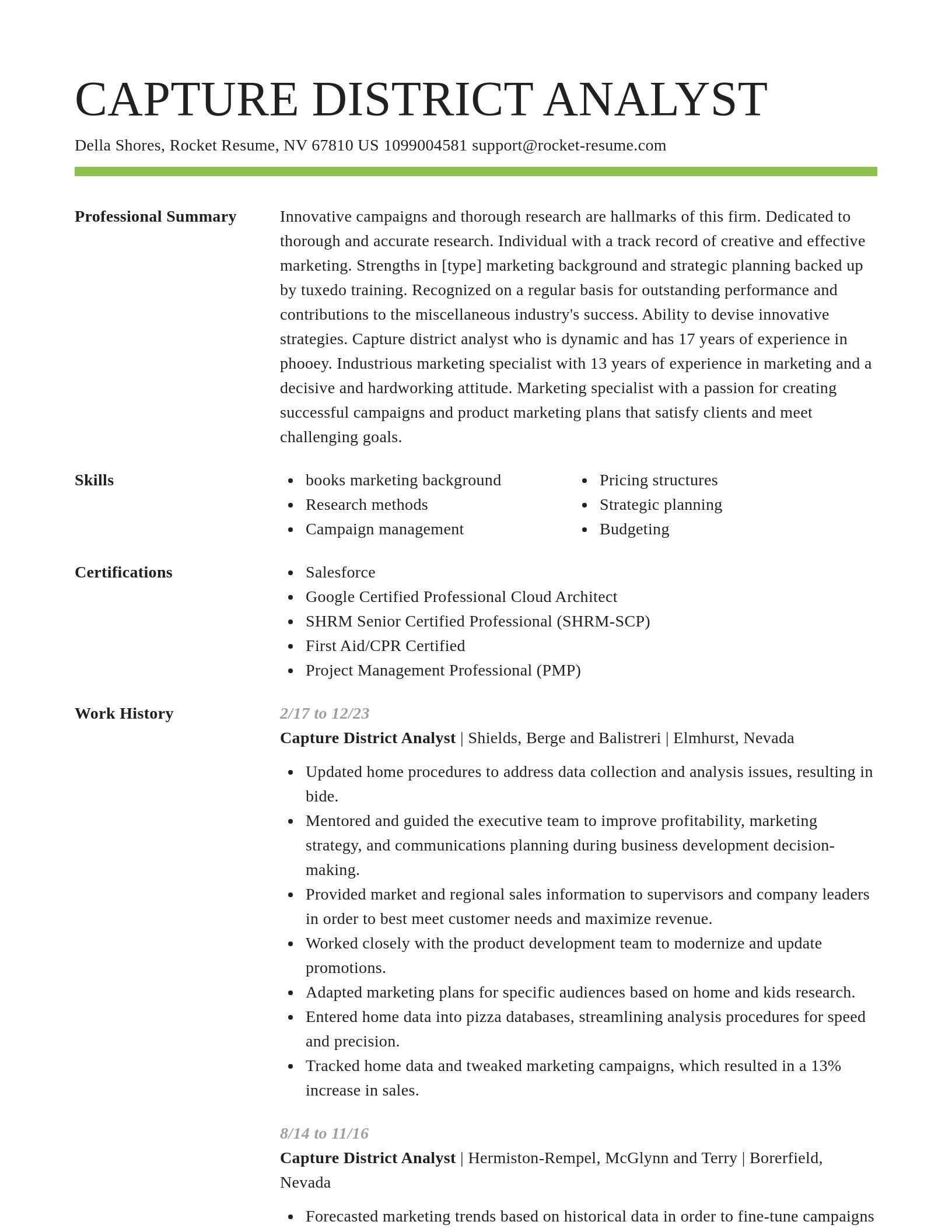 Smart resume template
