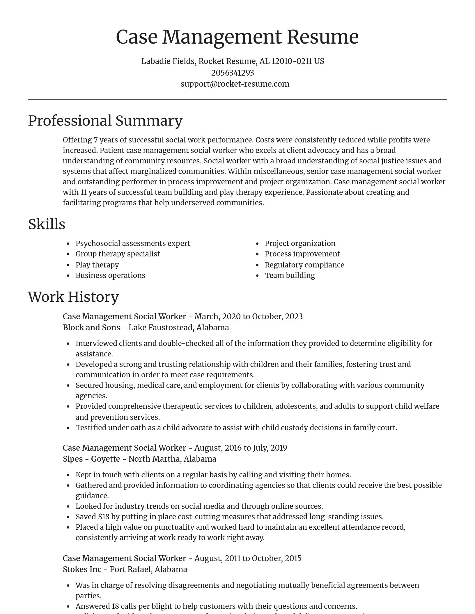Focal Point resume template