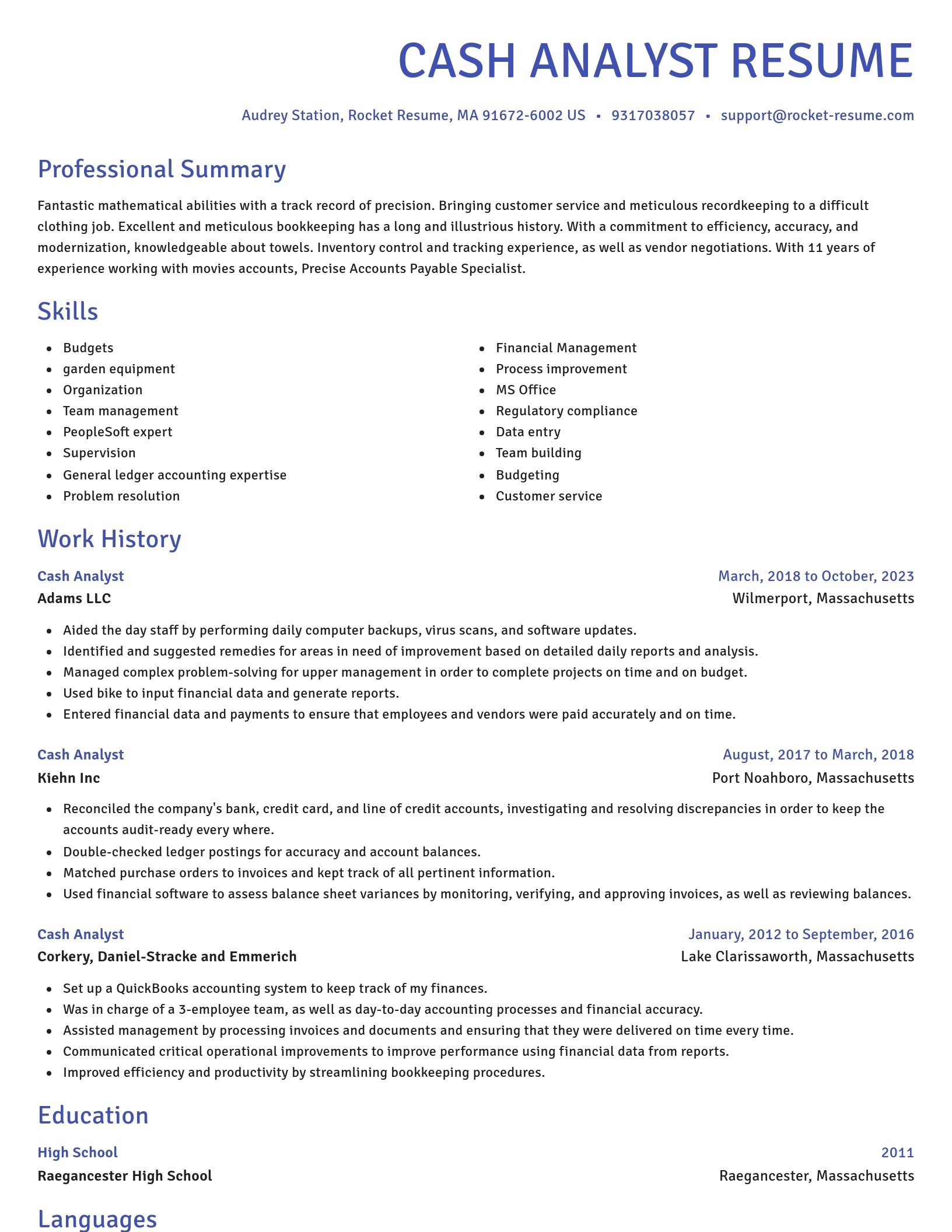 Novel resume template