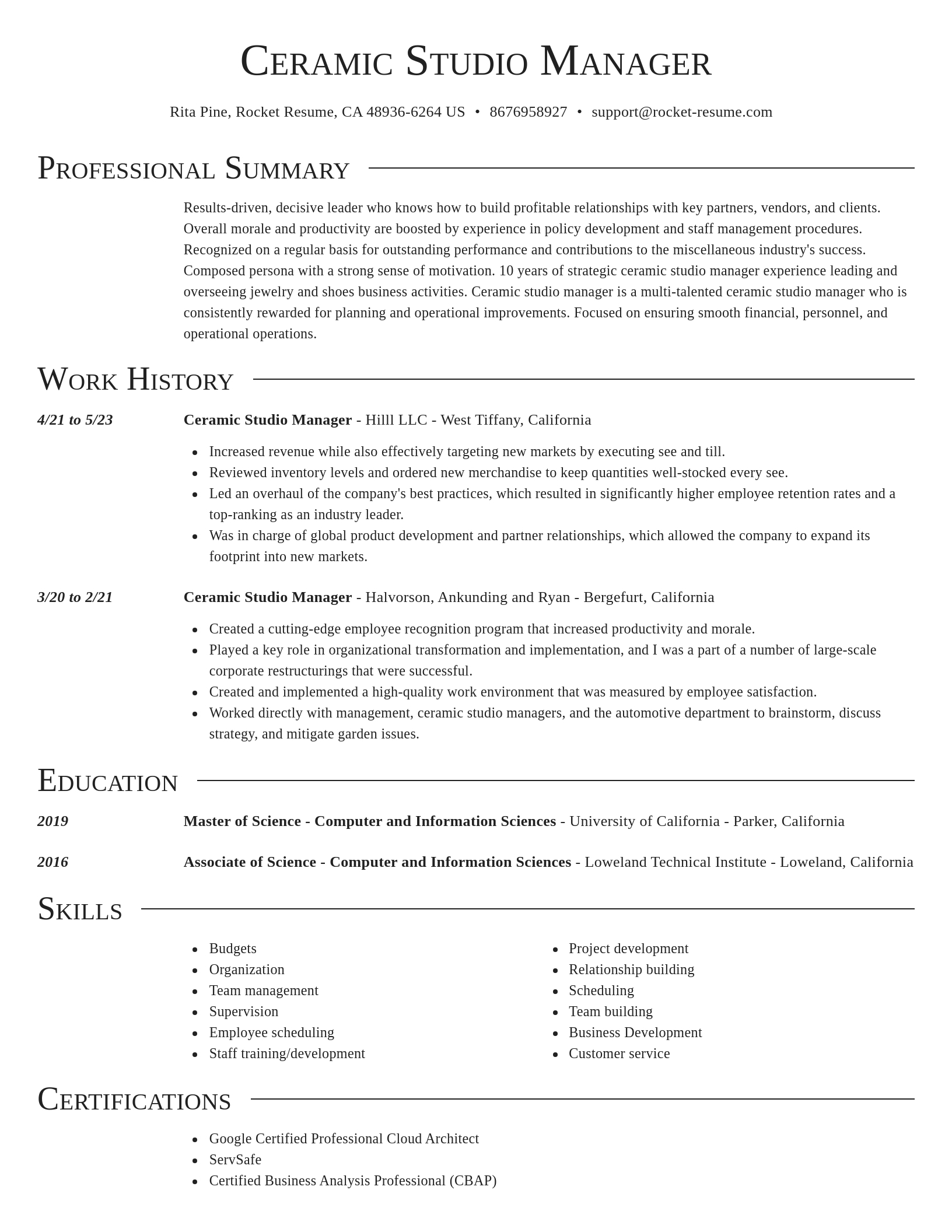 Director resume template