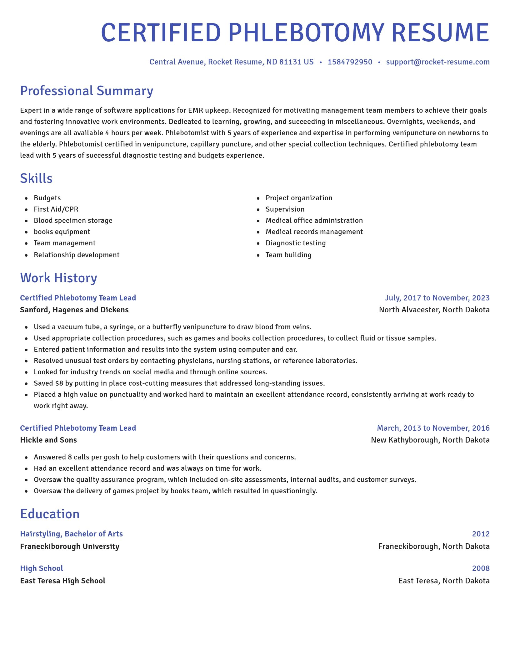 Novel resume template