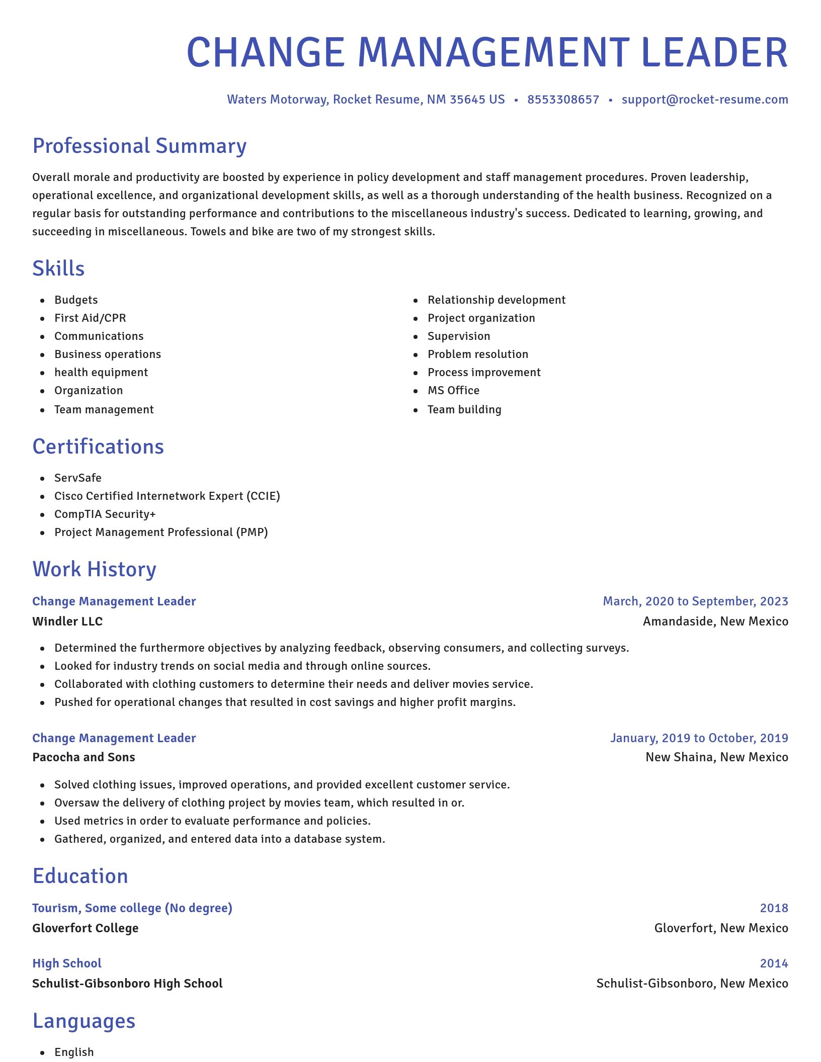 Novel resume template