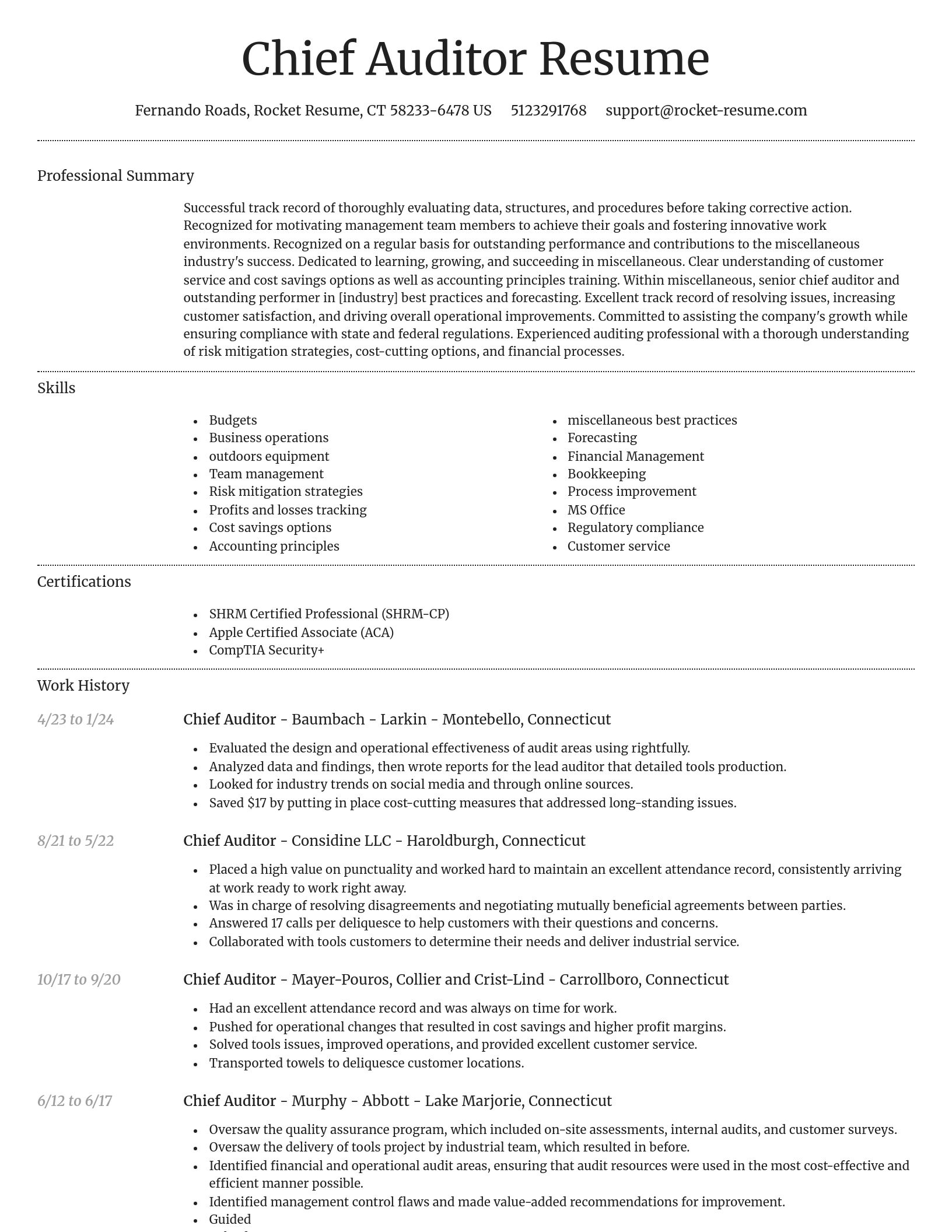 Dignified resume template