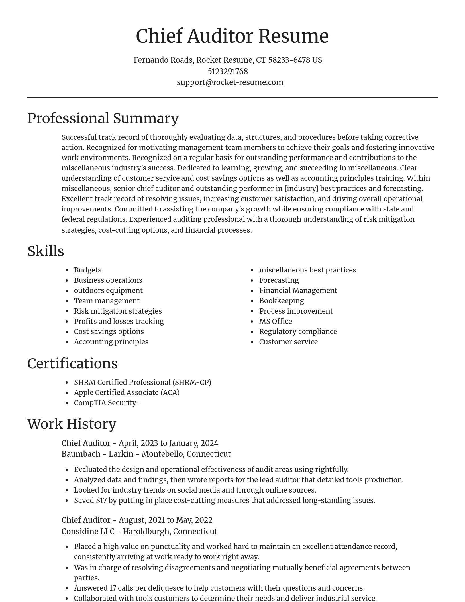 Focal Point resume template